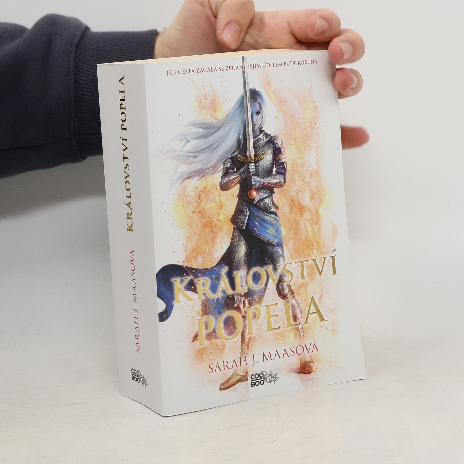 Sarah J. Maas Království popela