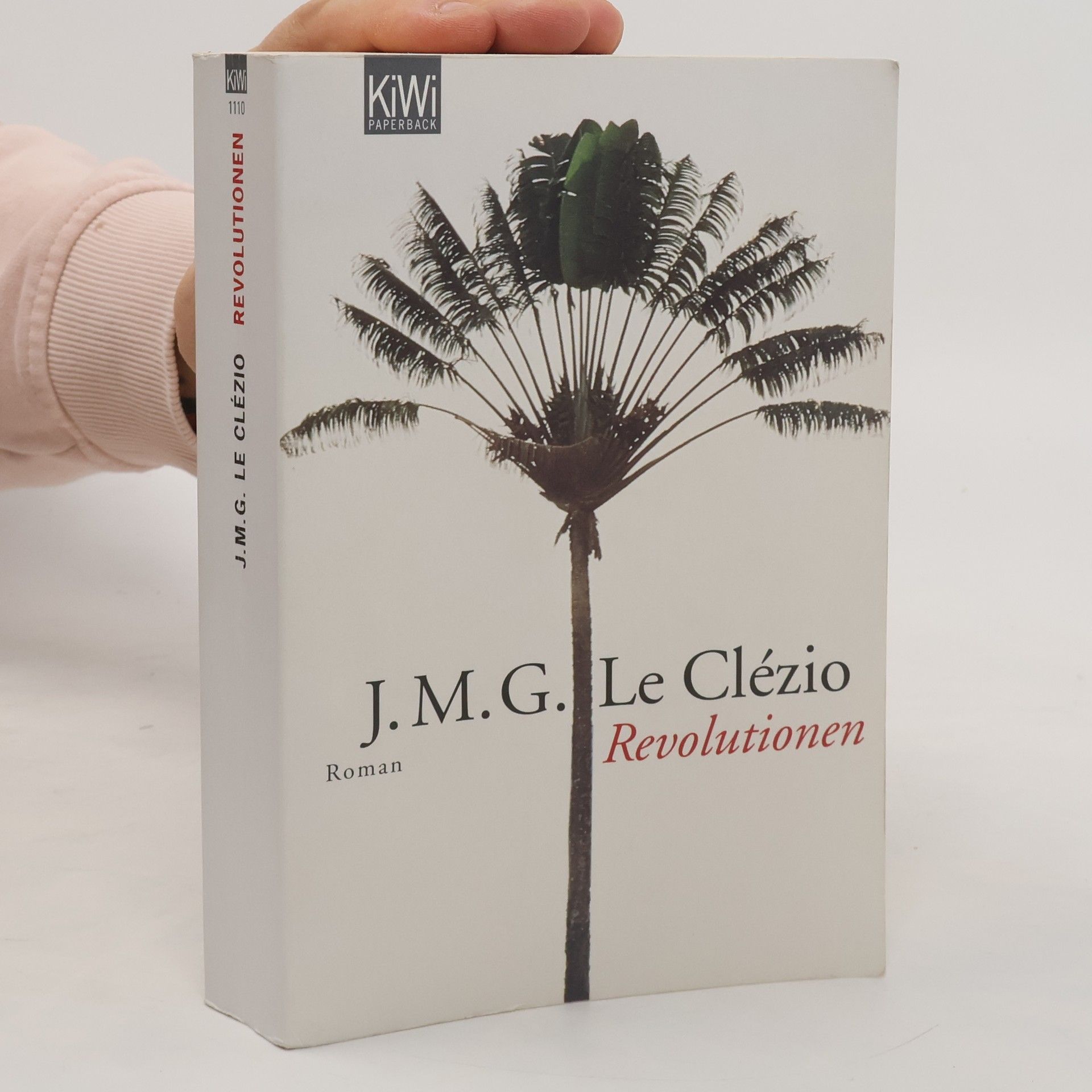 J. M. G Clézio Revolutionen