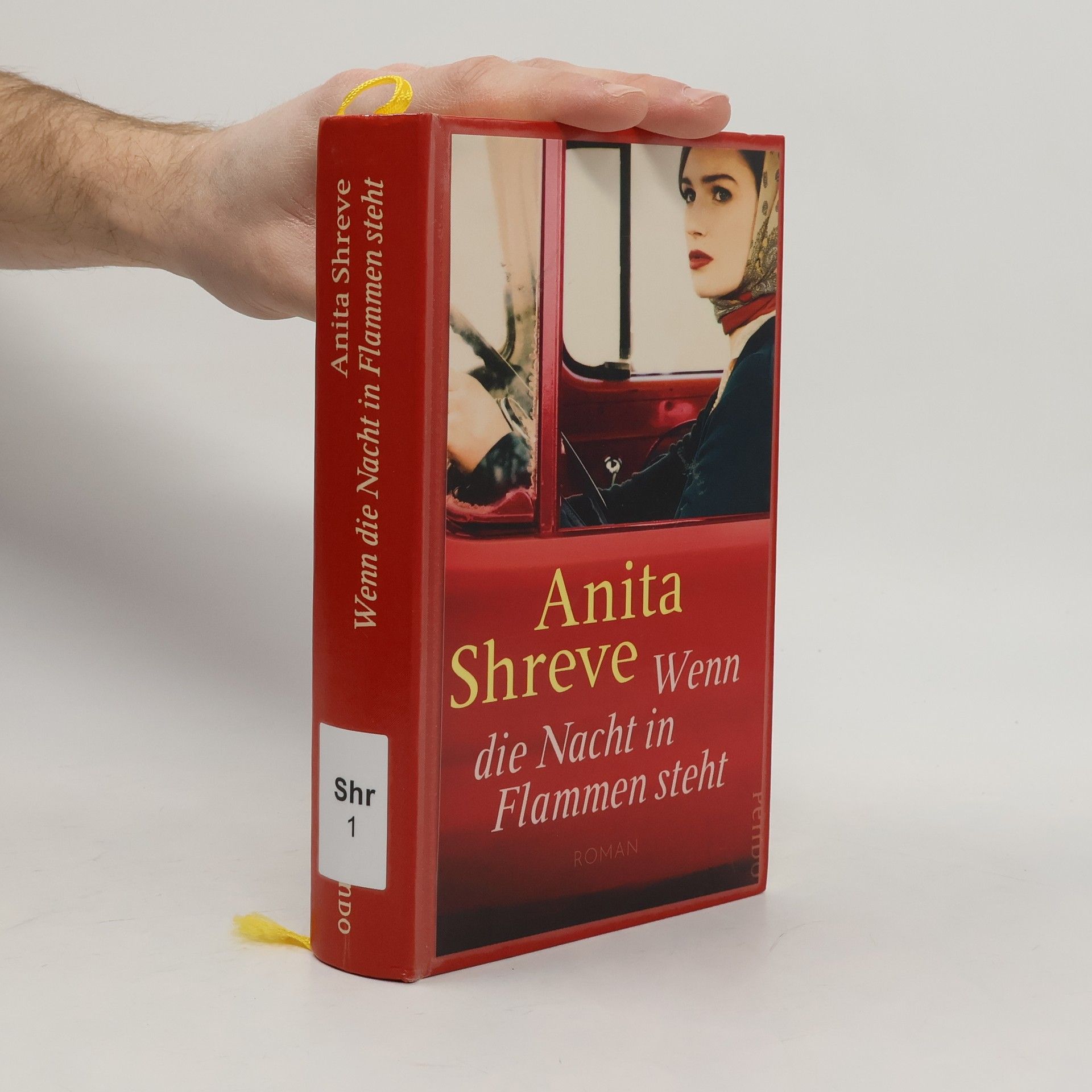 Anita Shreve Wenn die Nacht in Flammen steht