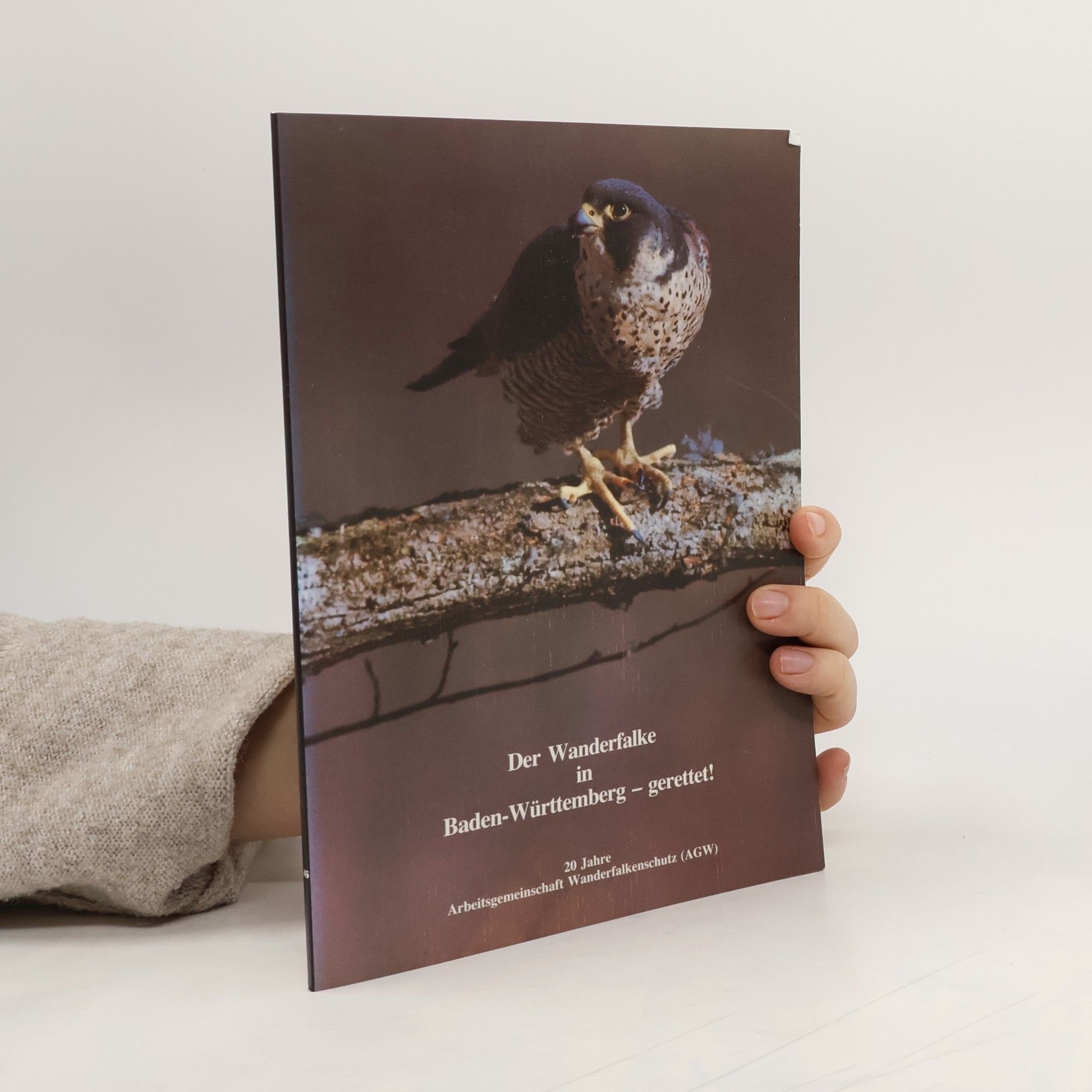 Friedrich Schilling Der Wanderfalke in Baden-Württemberg - gerettet!