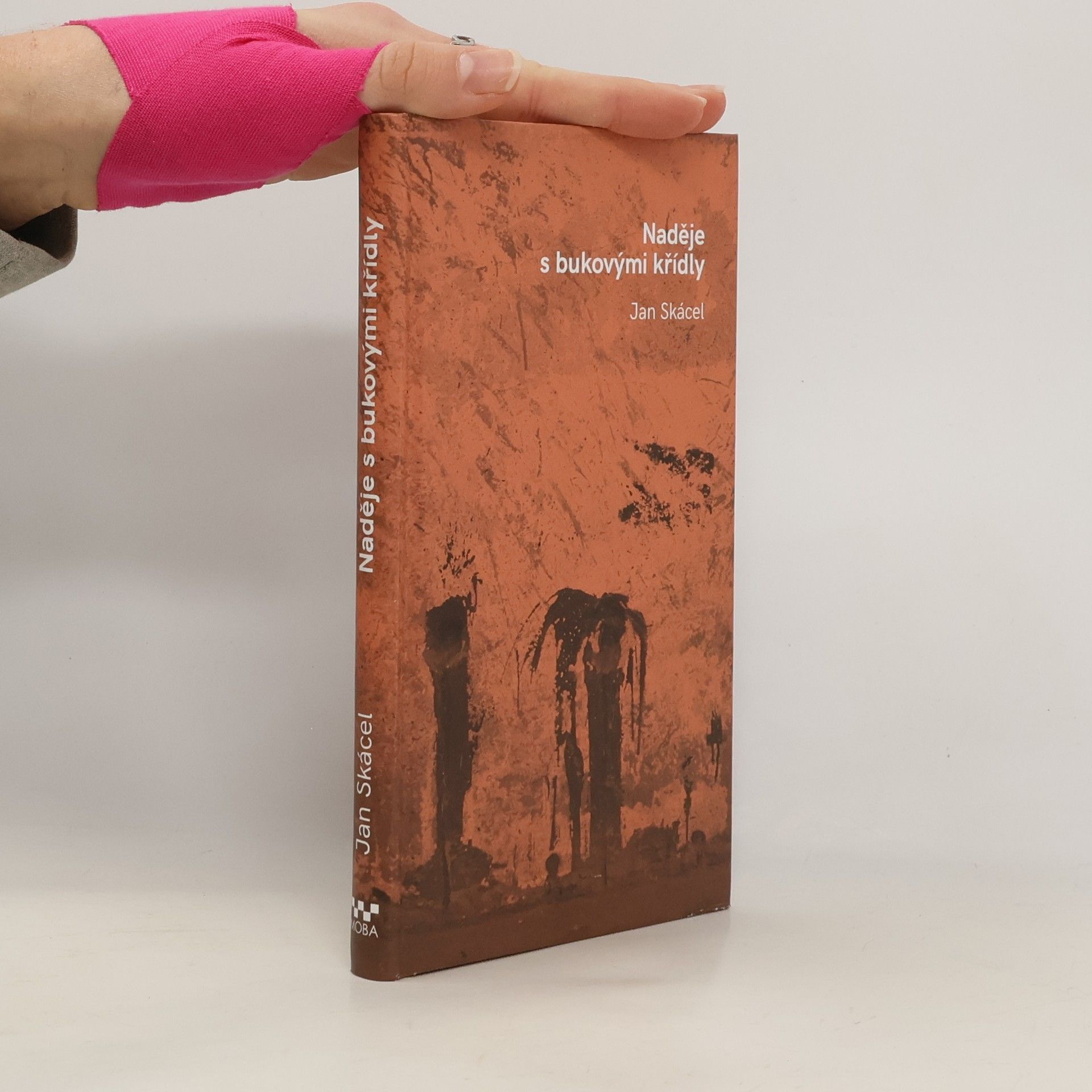 Naděje s bukovými křídly