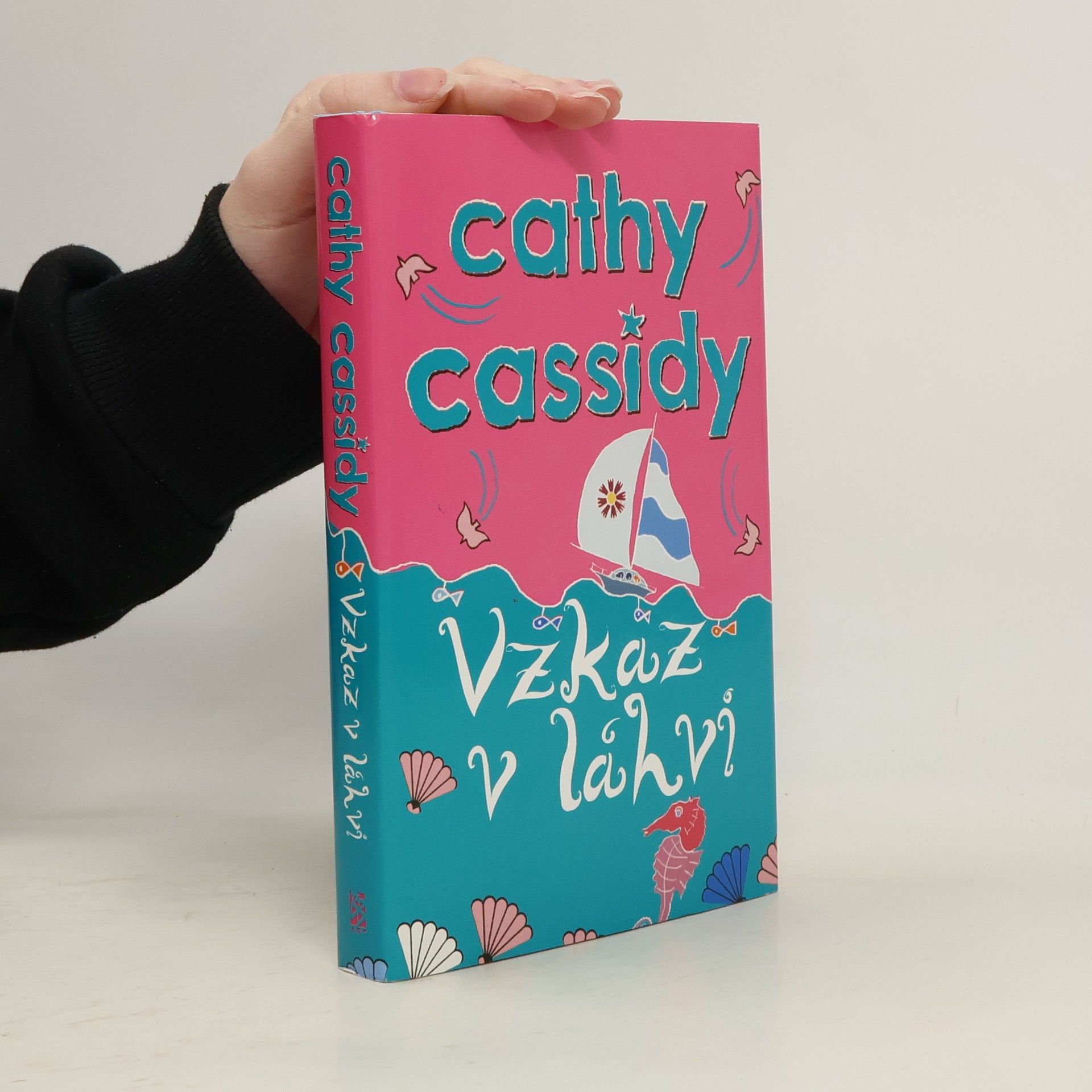 Cathy Cassidy Vzkaz v láhvi