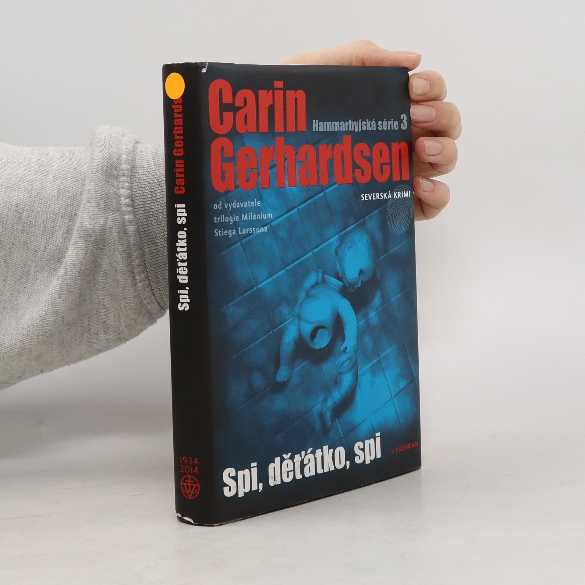 Spi, děťátko, spi. Hammarbyjská série. 3. díl