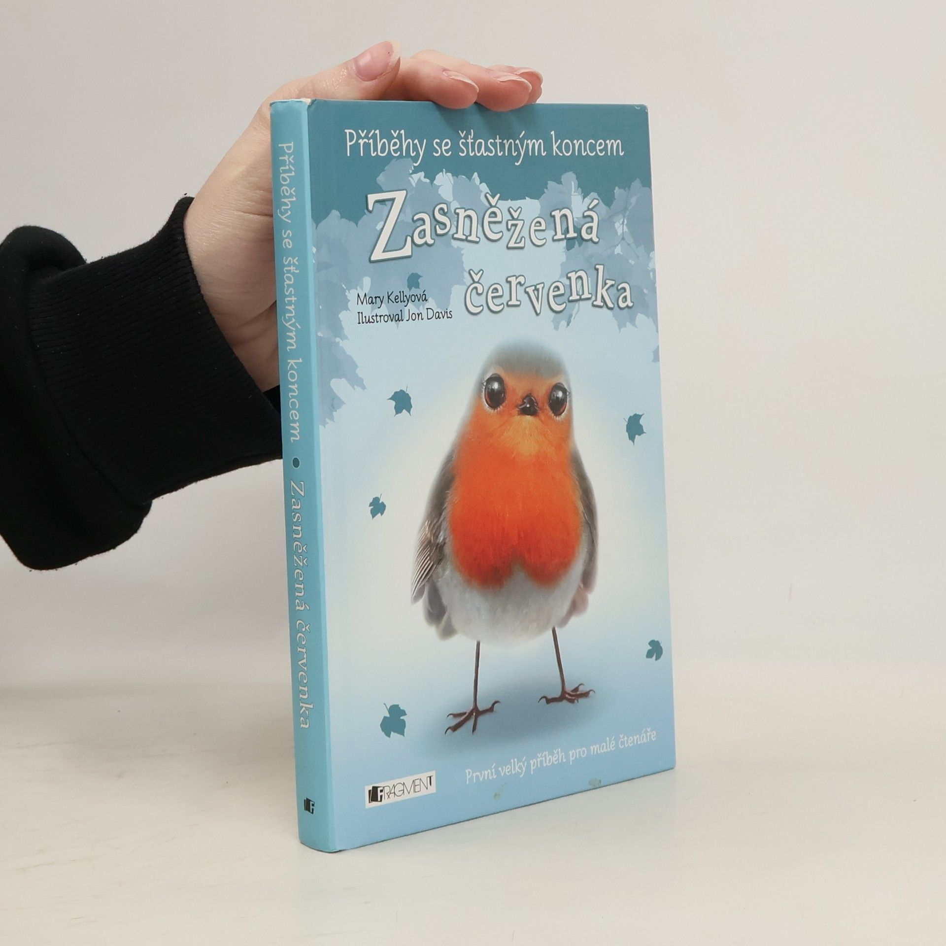 Zasněžená červenka