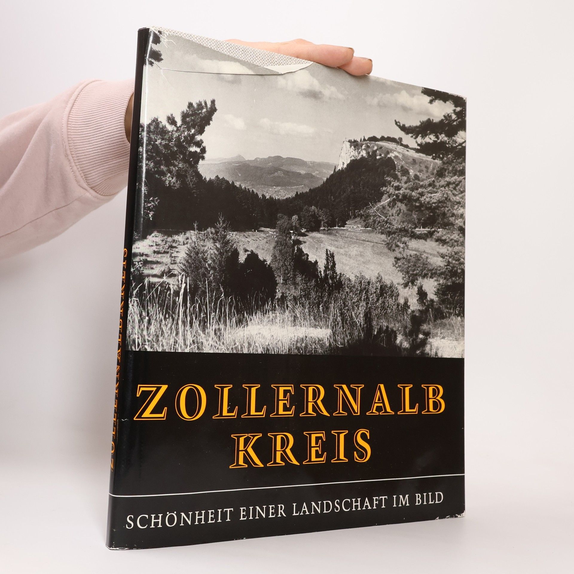 Gerd Schneider Zollernalb Kreis