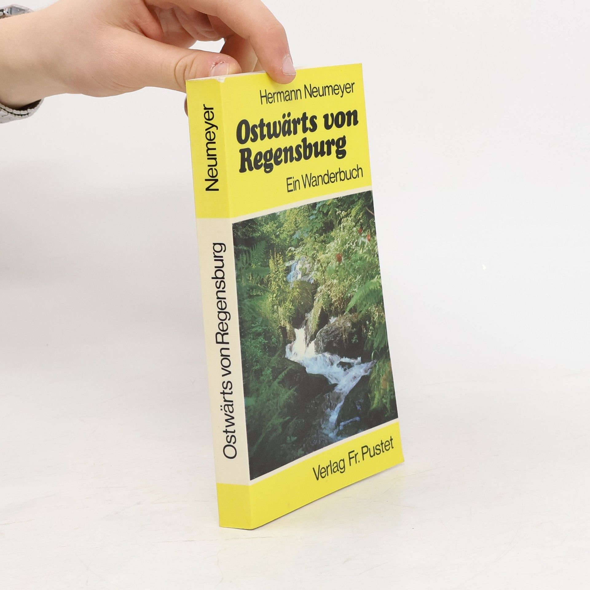 Hermann Neumeyer Ostwärts von Regensburg