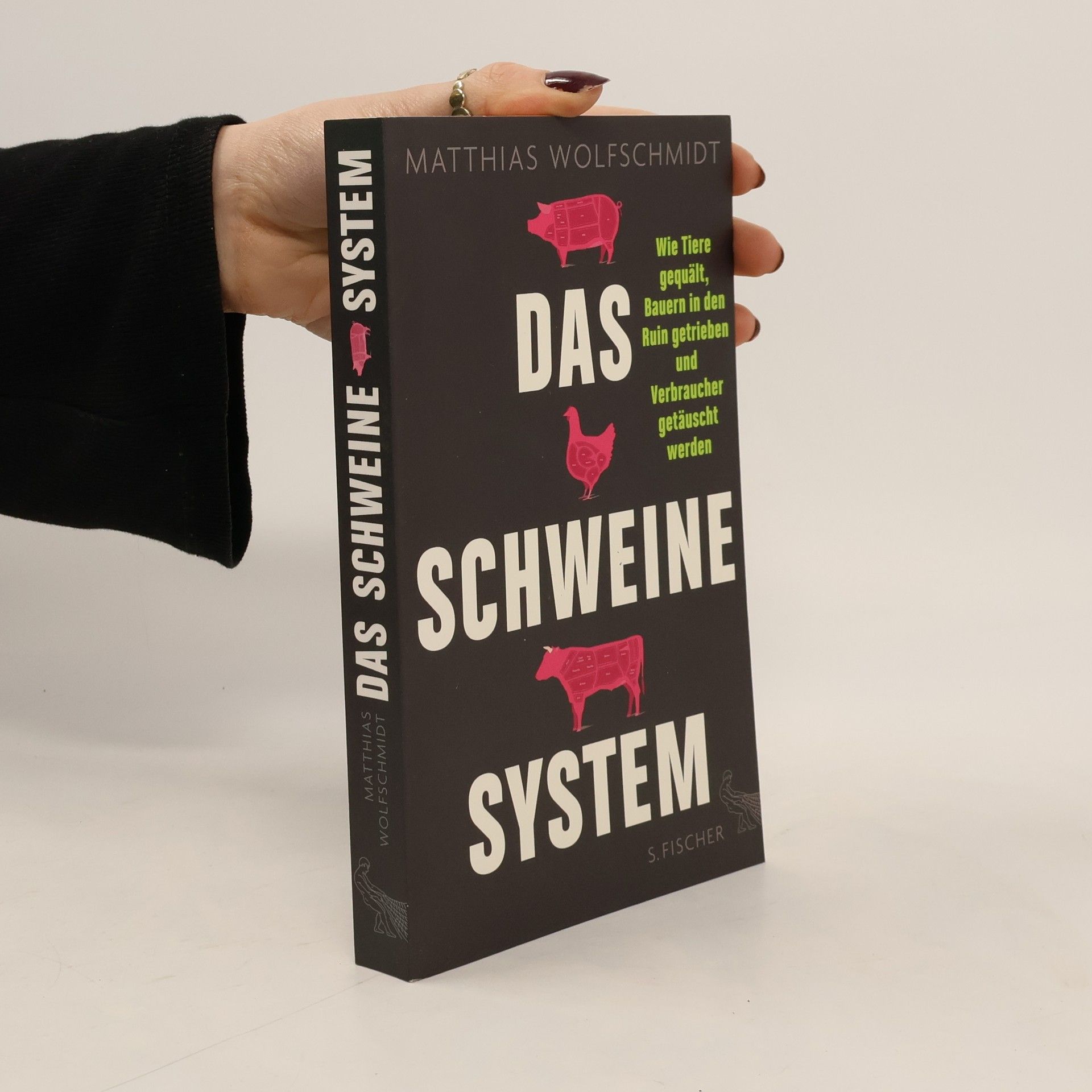 Matthias Wolfschmidt Das Schweinesystem