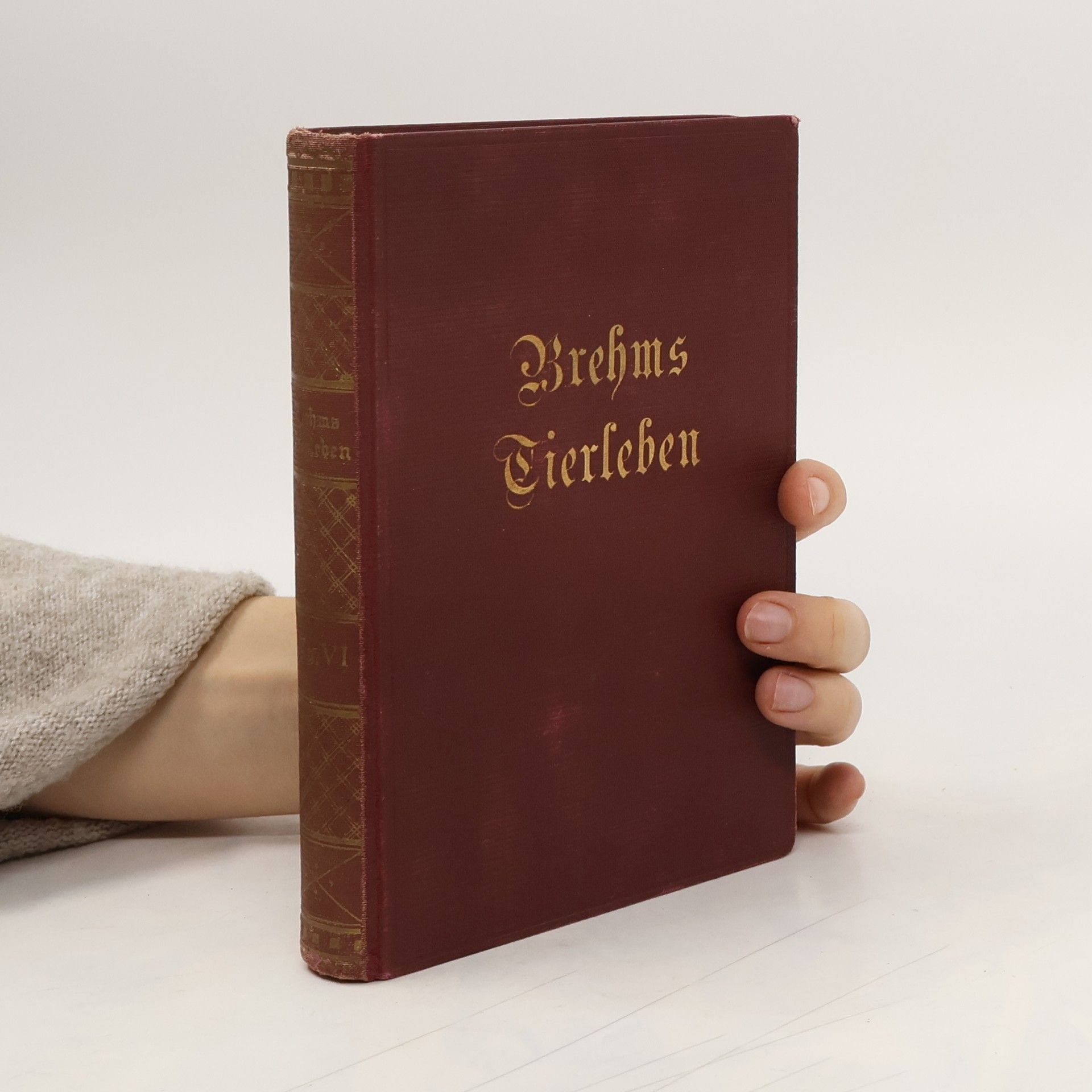 Alfred Edmund Brehm Brehms Tierleben III-IV