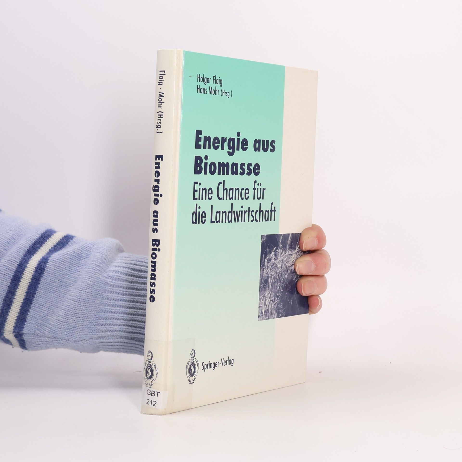 Holger Flaig Veröffentlichungen der Akademie für Technikfolgenabschätzung in Baden-Württemberg: Energie aus Biomasse