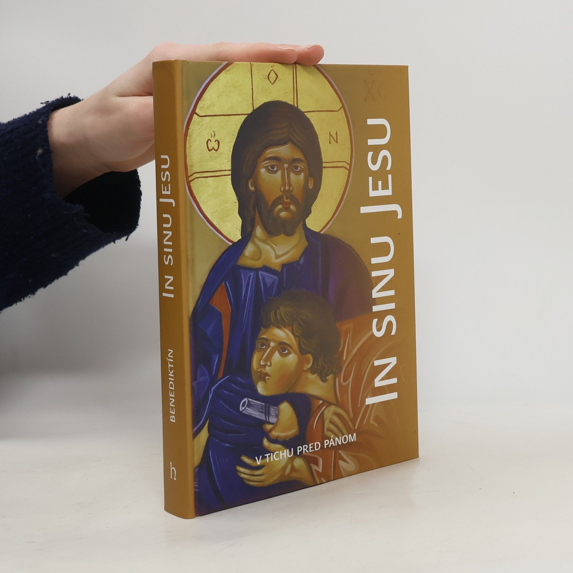 Autores varios In sinu Jesu