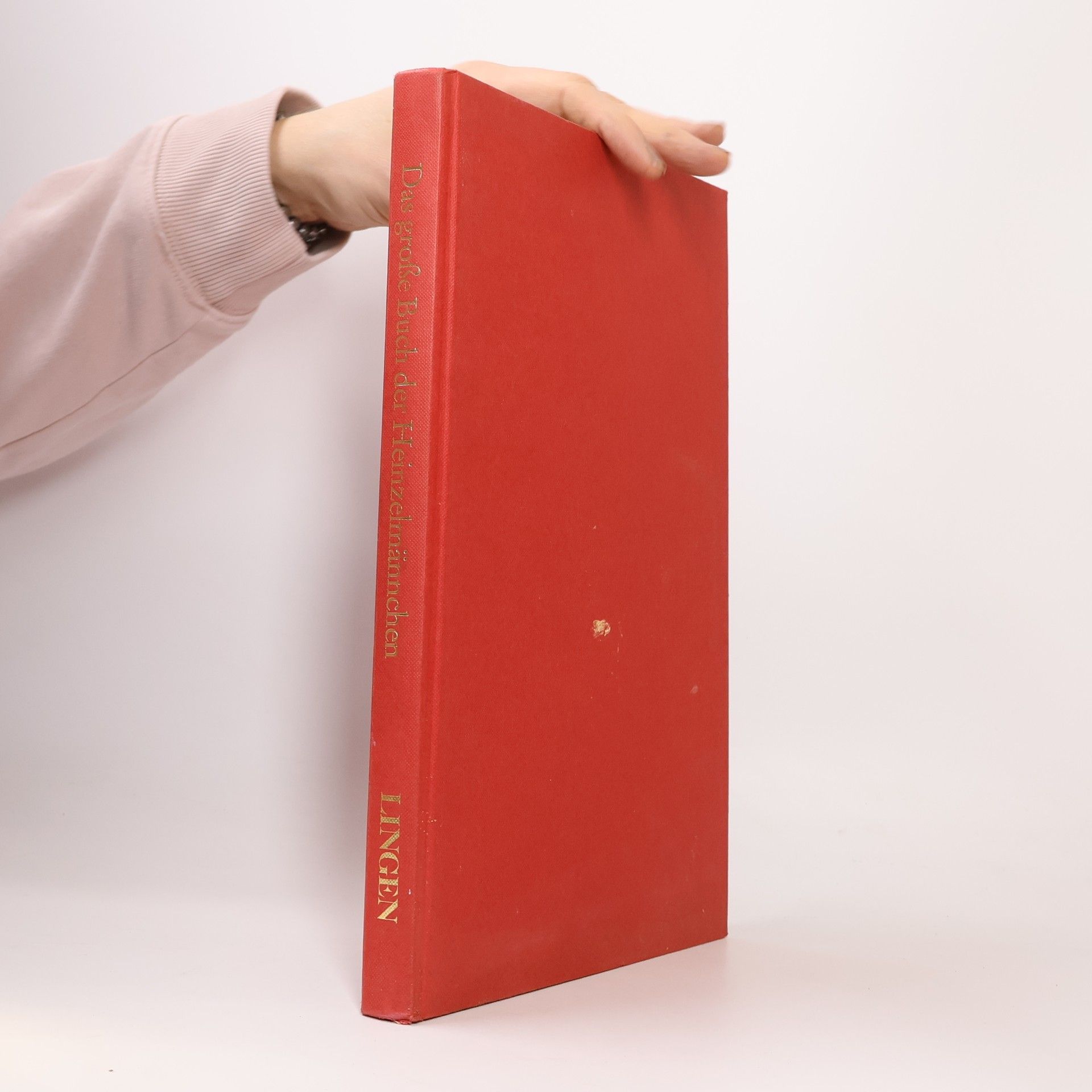 Wil Huggen Das große Buch der Heinzelmännchen