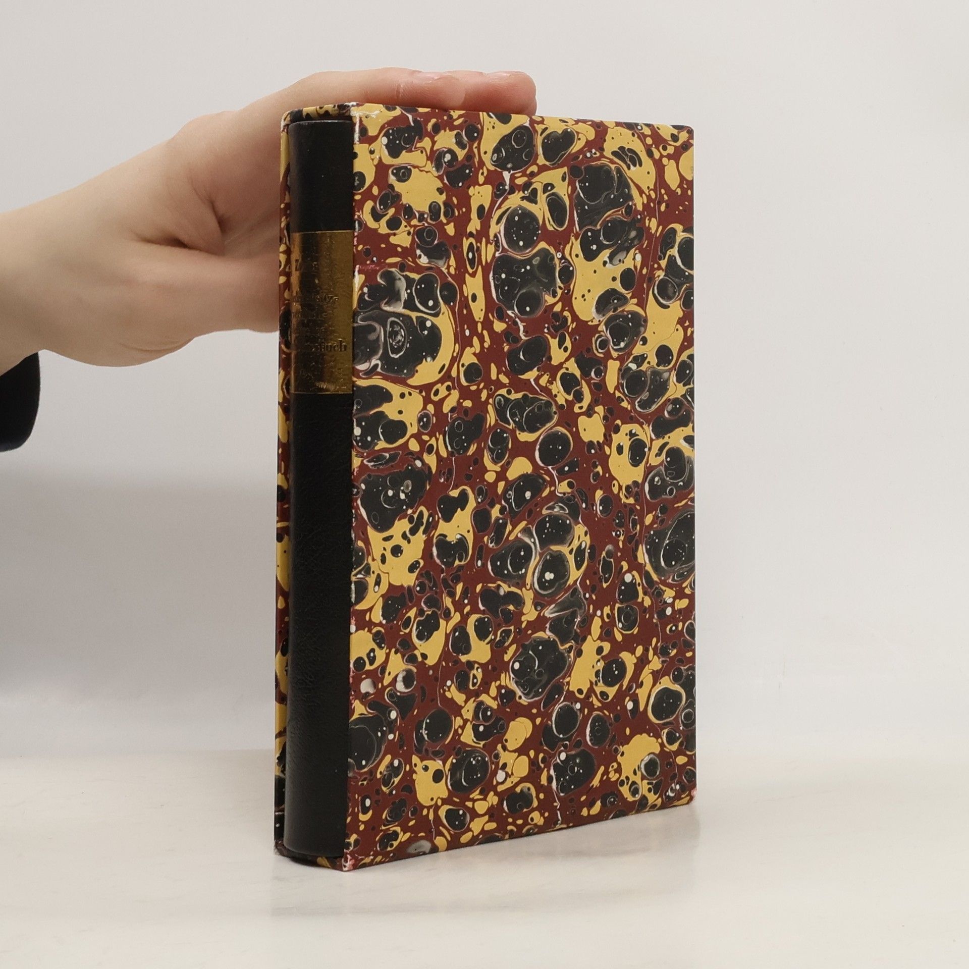 Johann Georg Zwahr Niederlausitz-wendisch-deutsches Handwörterbuch