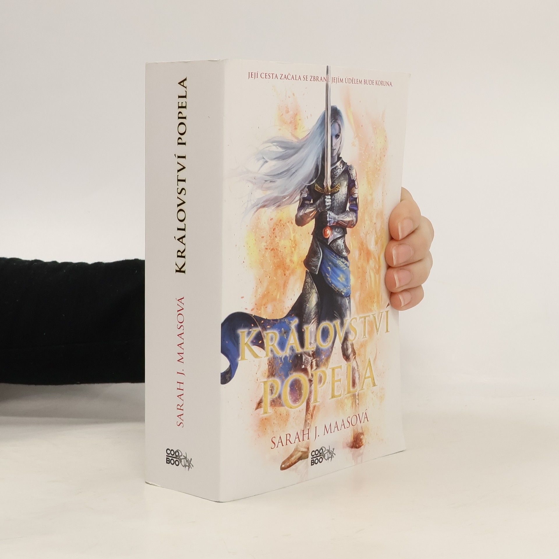 Sarah J. Maas Království popela