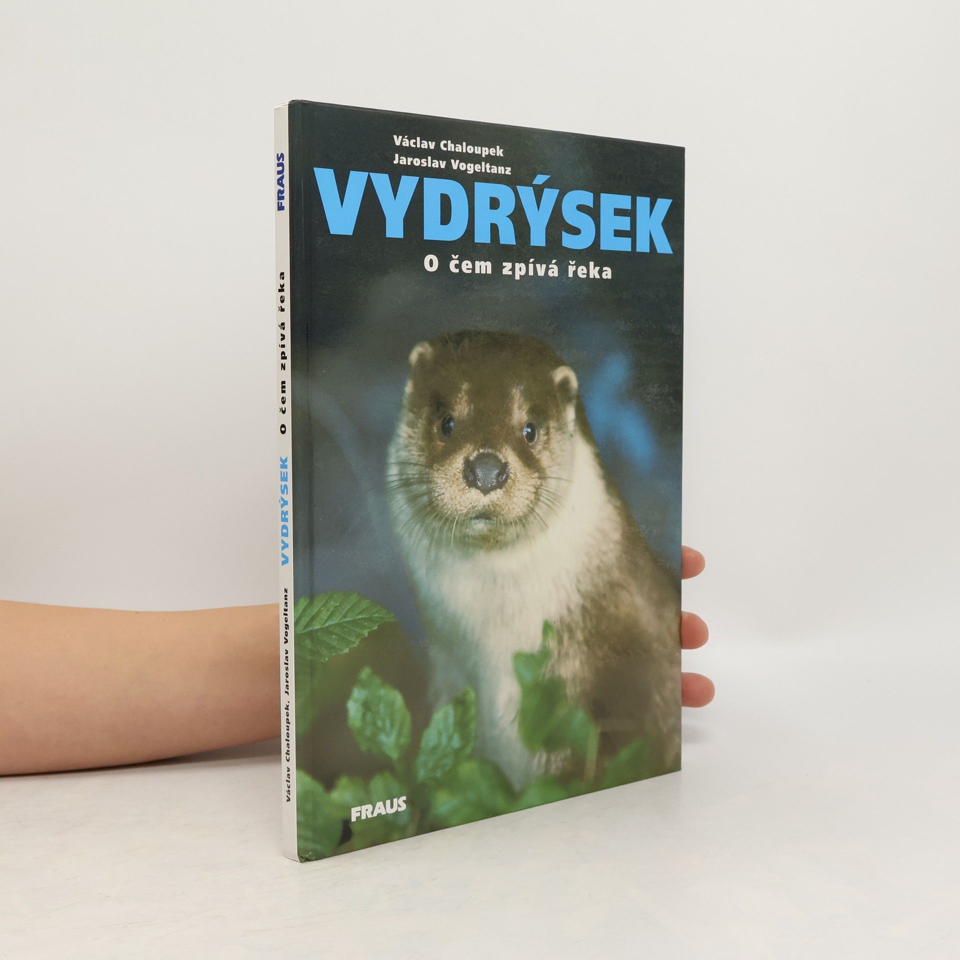 Jaroslav Vogeltanz Vydrýsek. O čem zpívá řeka