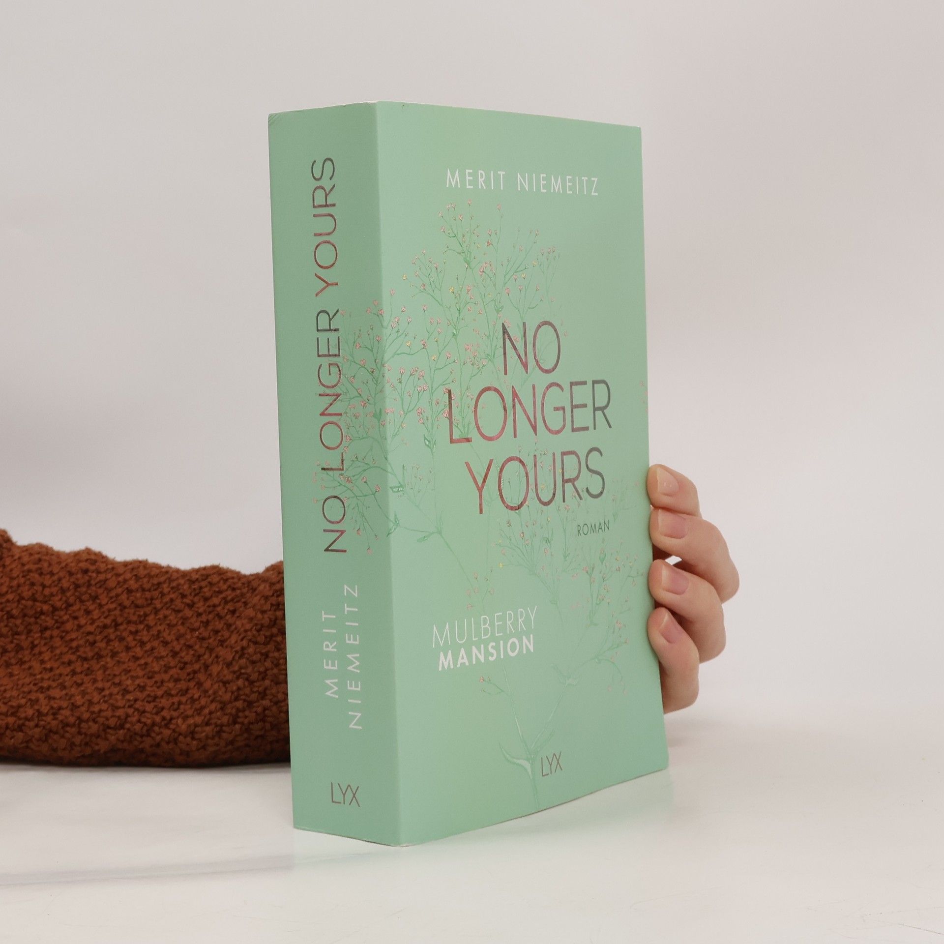 Merit Niemeitz No Longer Yours