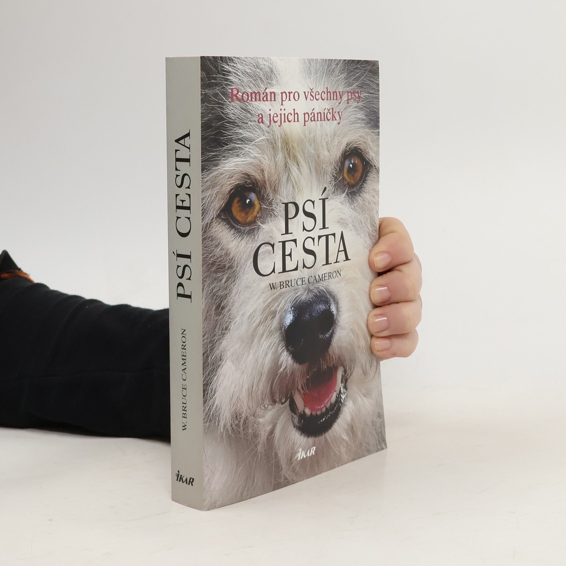 W. Bruce Cameron Psí cesta
