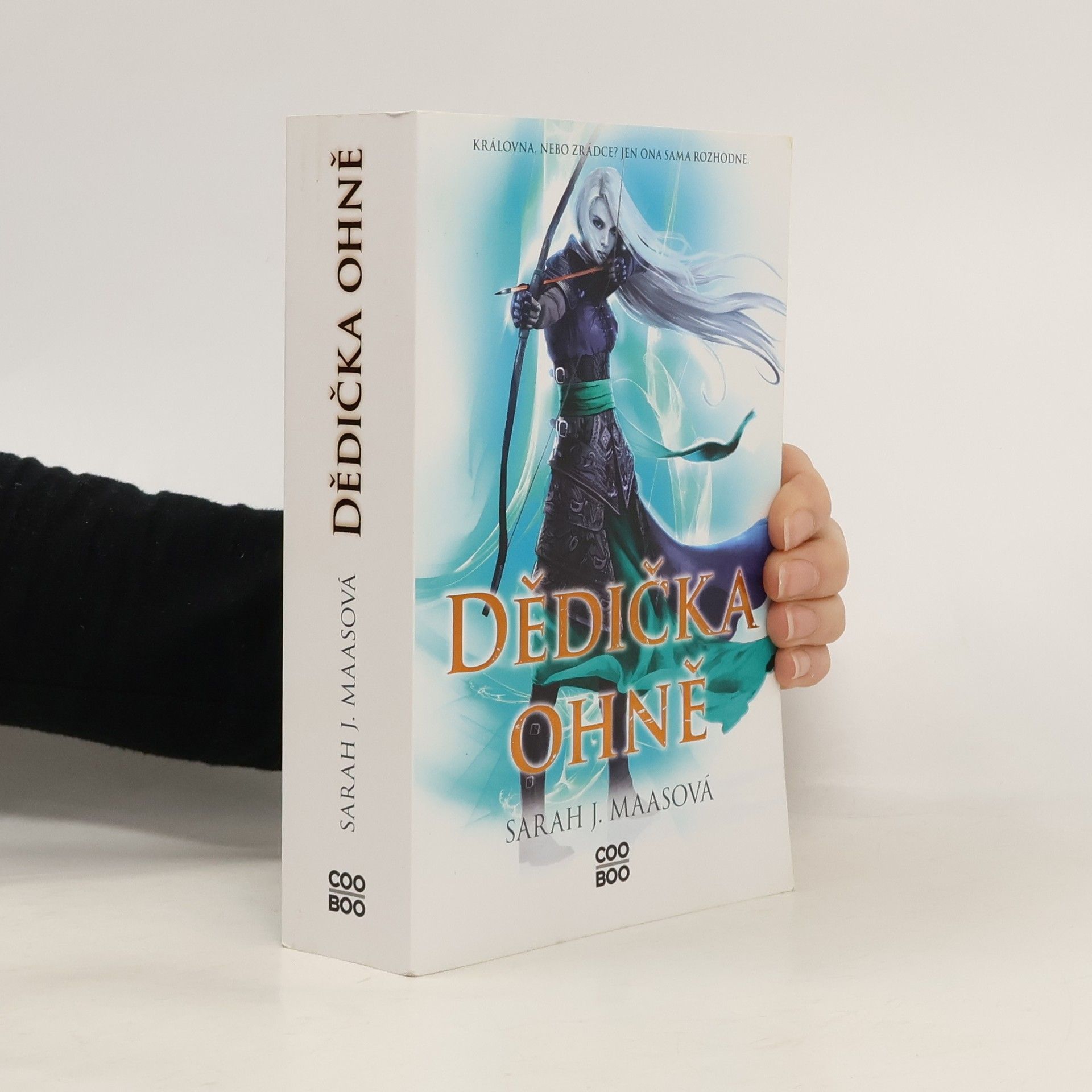 Sarah J. Maas Dědička ohně