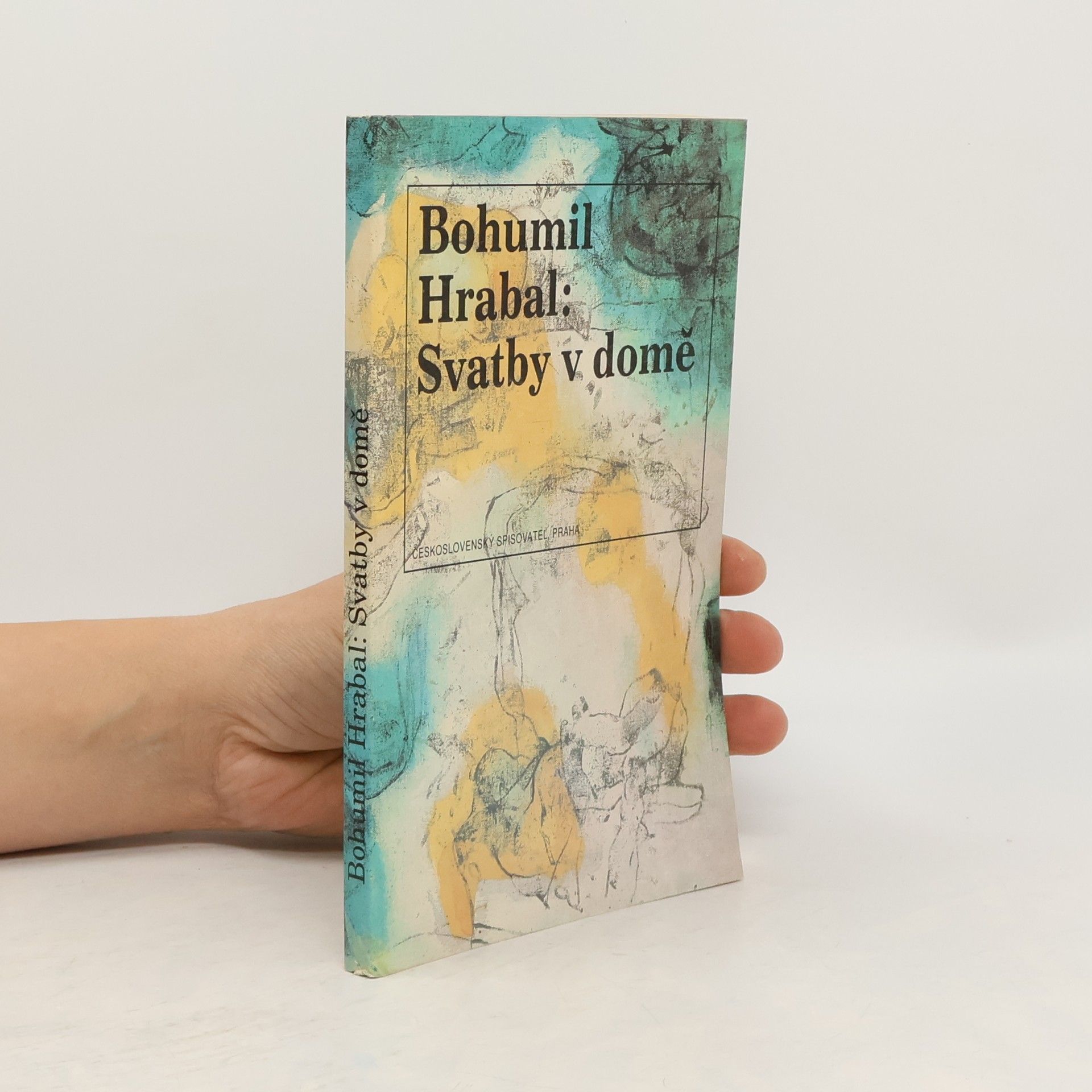 Svatby v domě. Dívčí románek. 1. díl trilogie