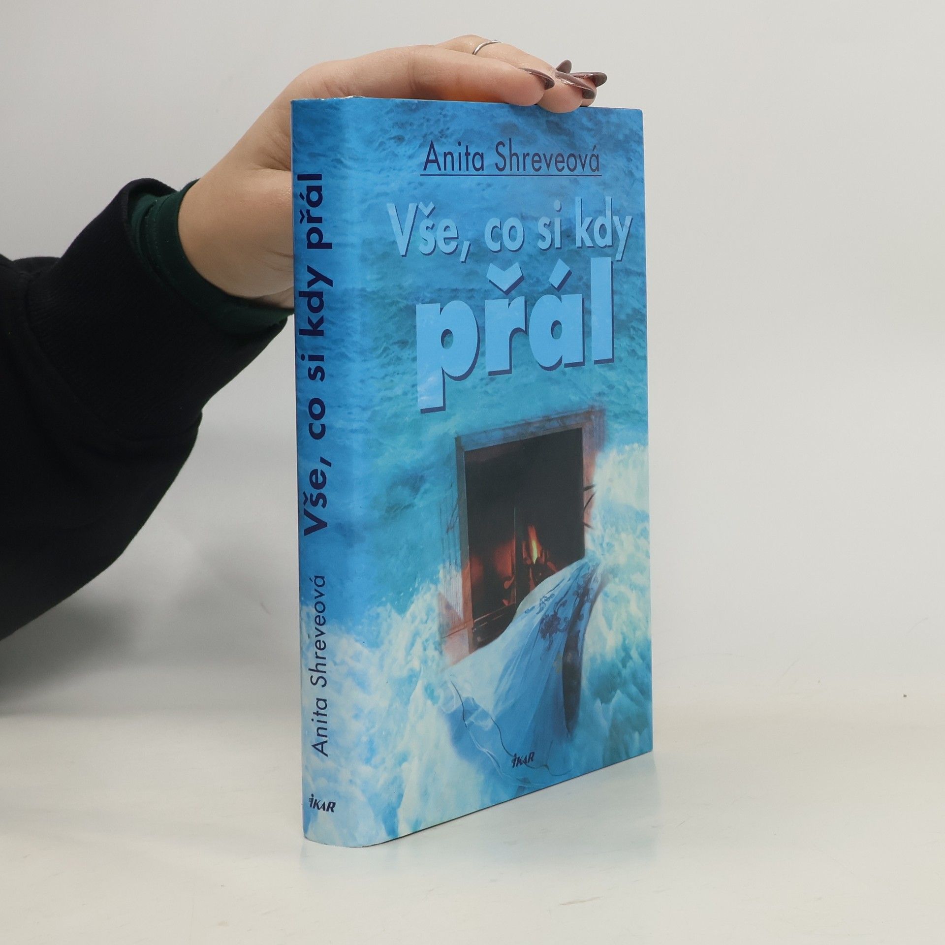 Anita Shreve Vše, co si kdy přál