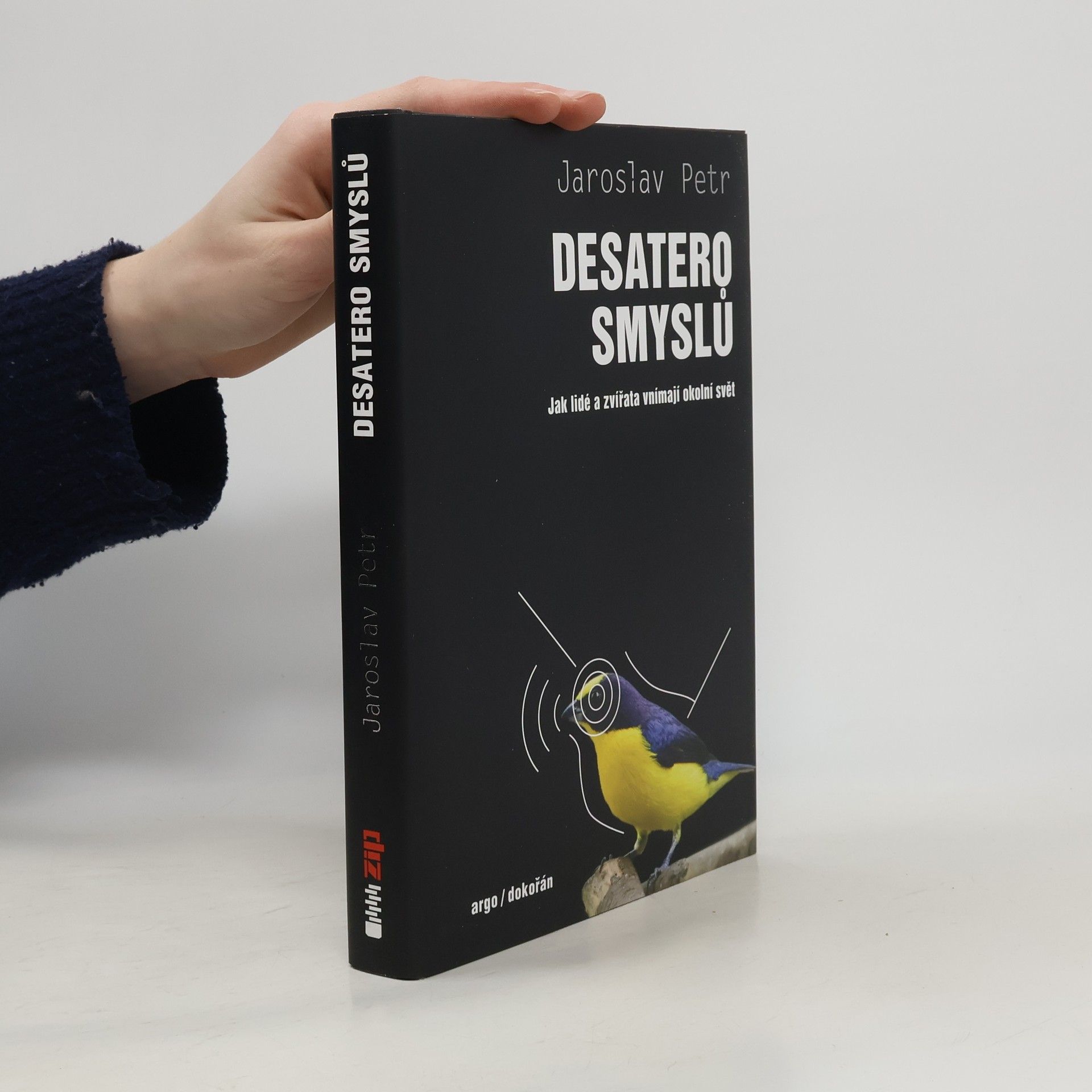 Jaroslav Petr Desatero smyslů