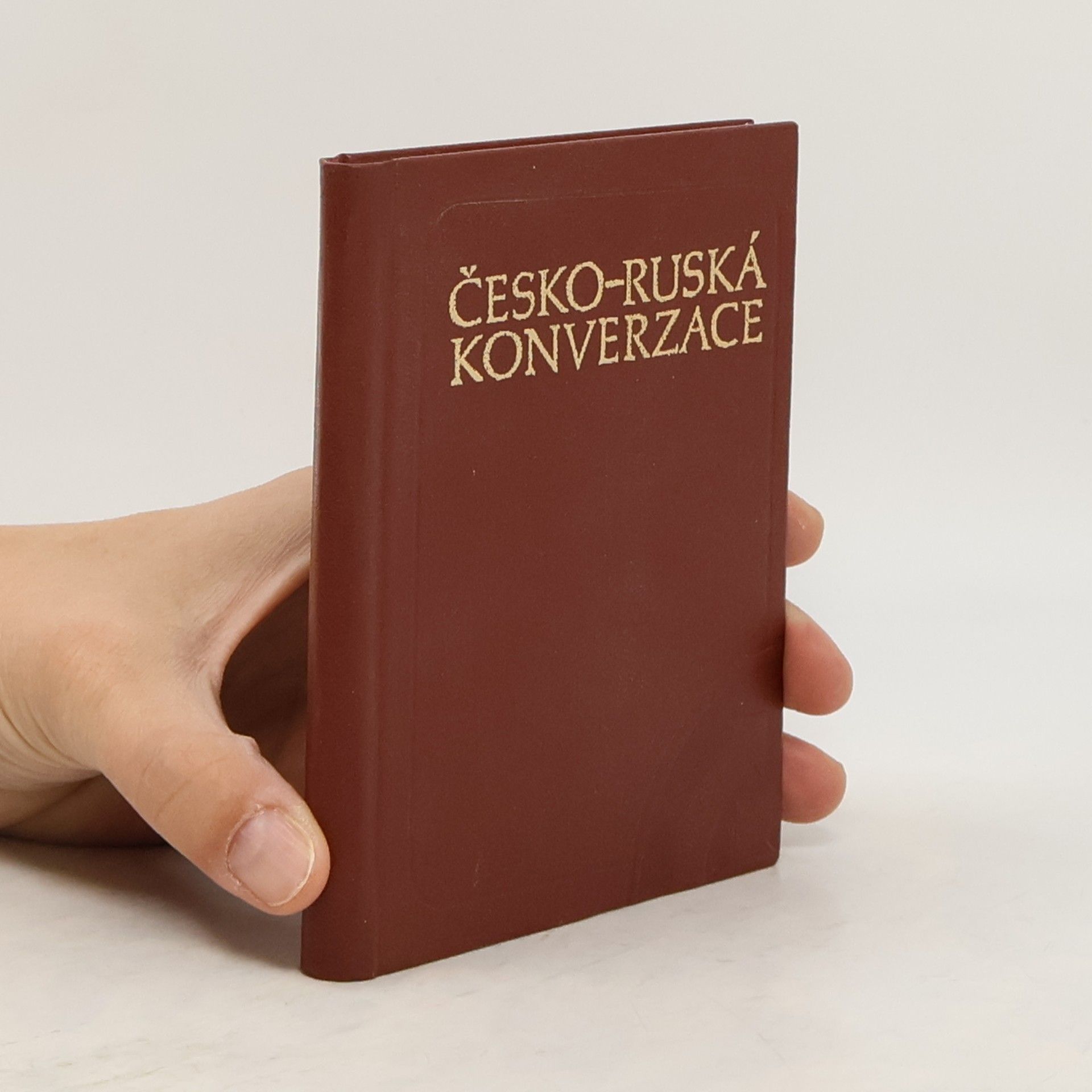 S. Neverov Česko ruská konverzace