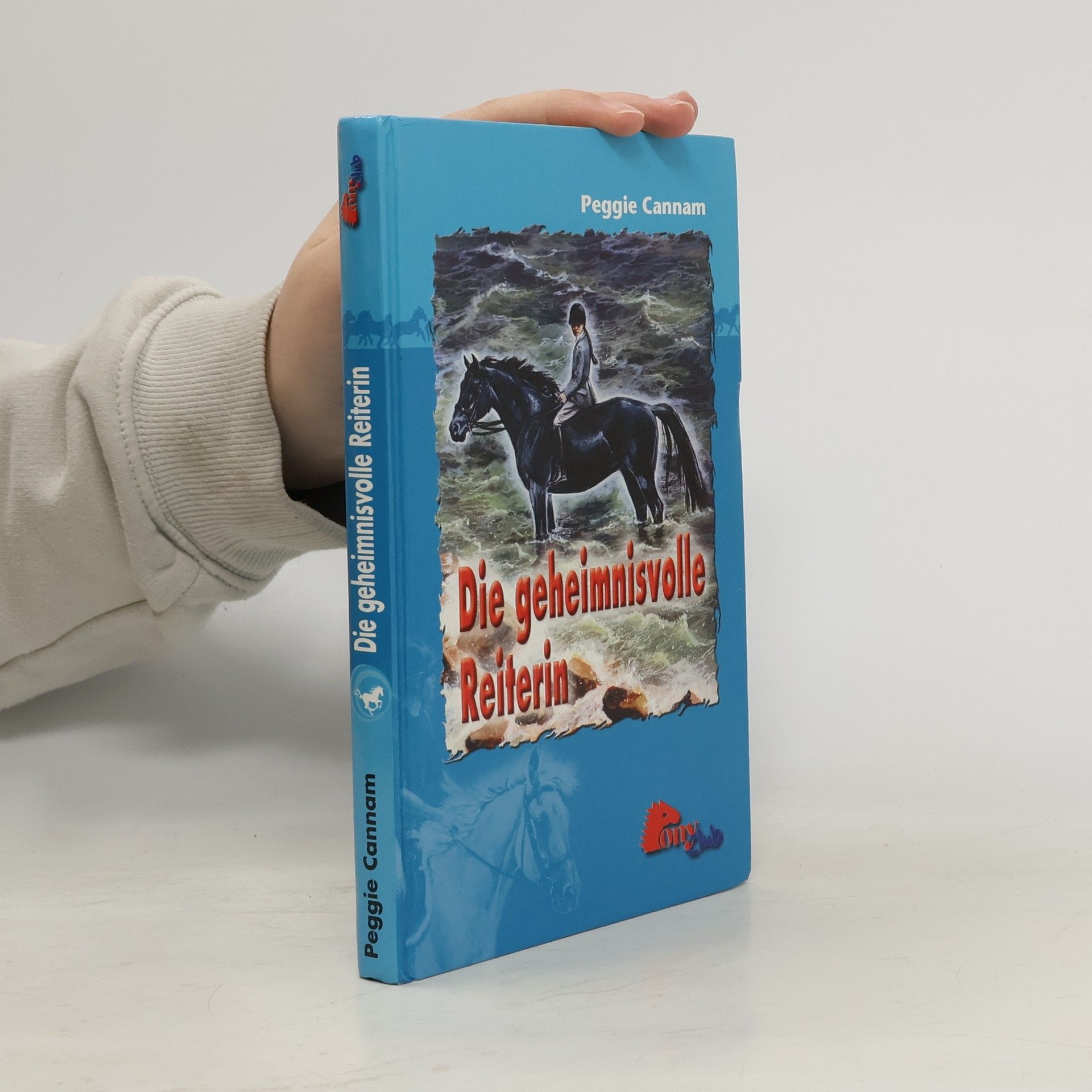 Die geheimnisvolle Reiterin