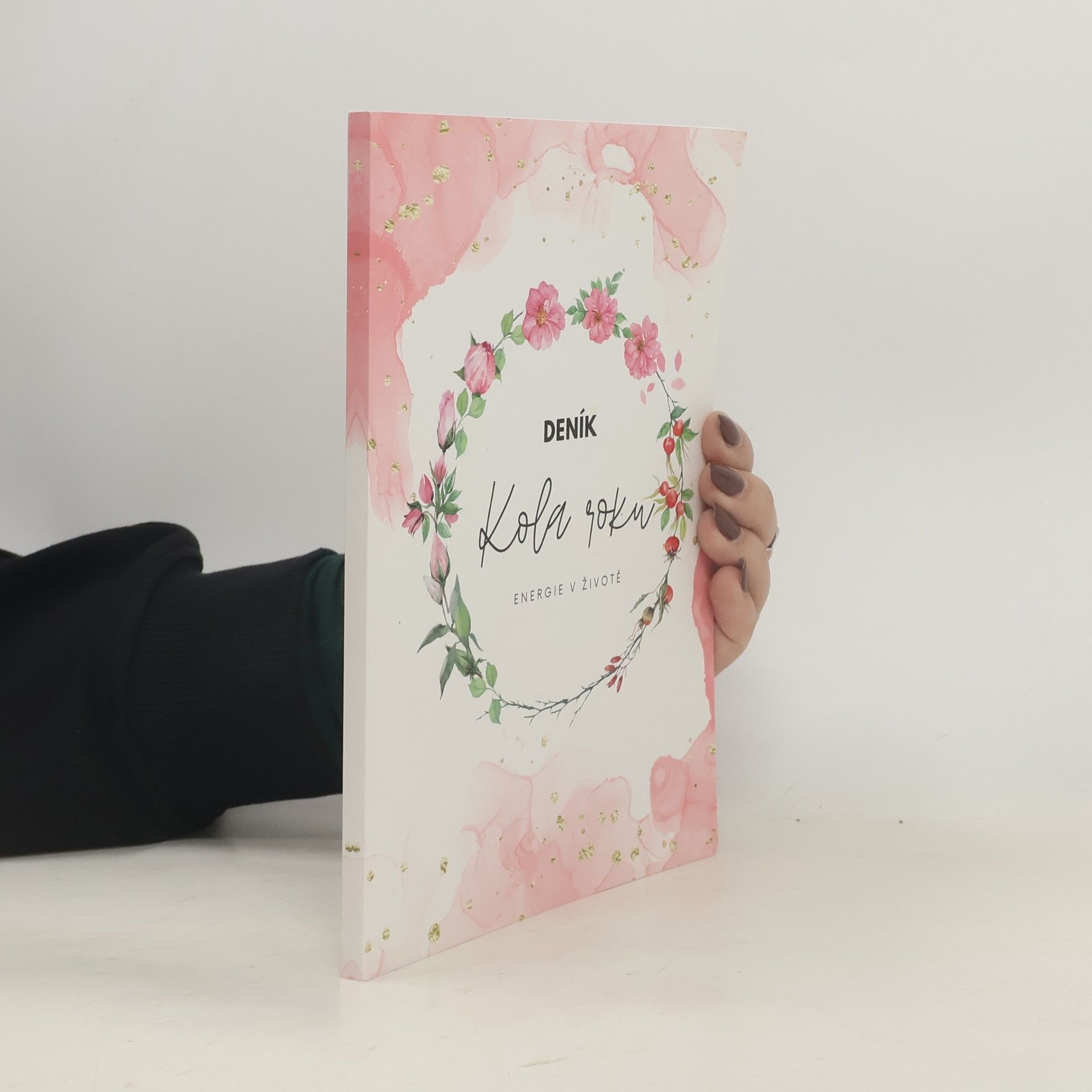 Kolektív autorov Deník KOLA ROKU