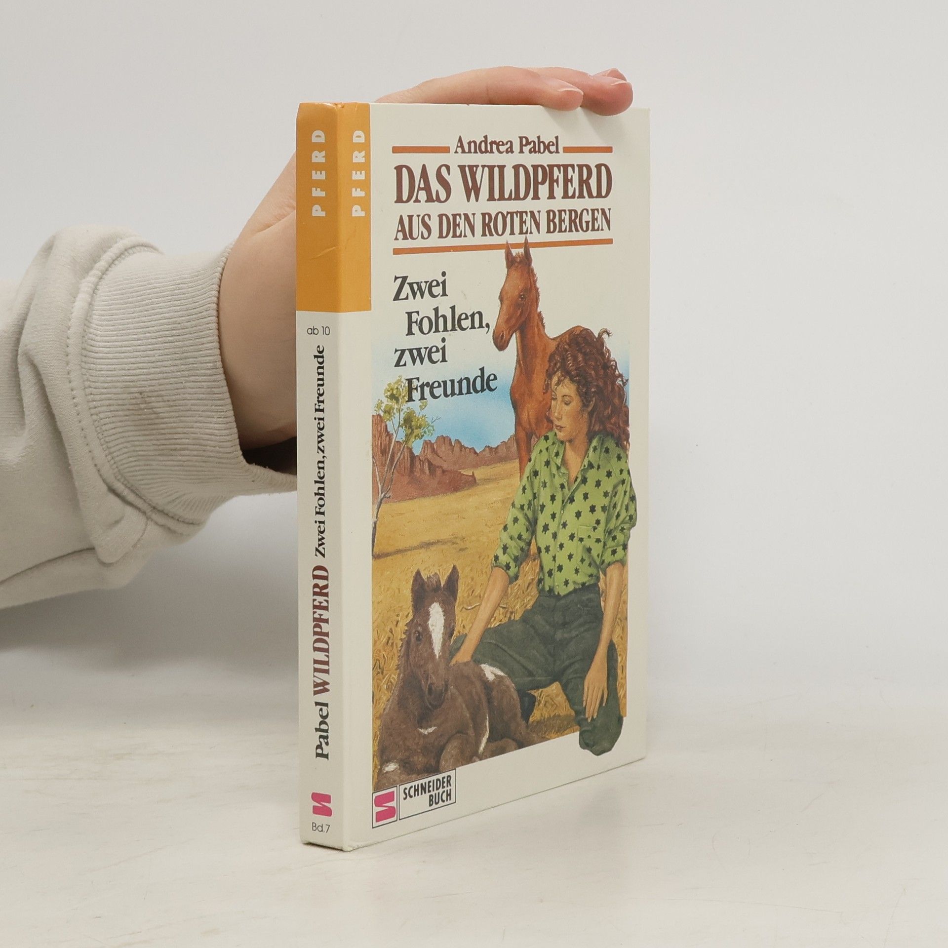 Andrea Pabel Das Wildpferd aus den roten Bergen