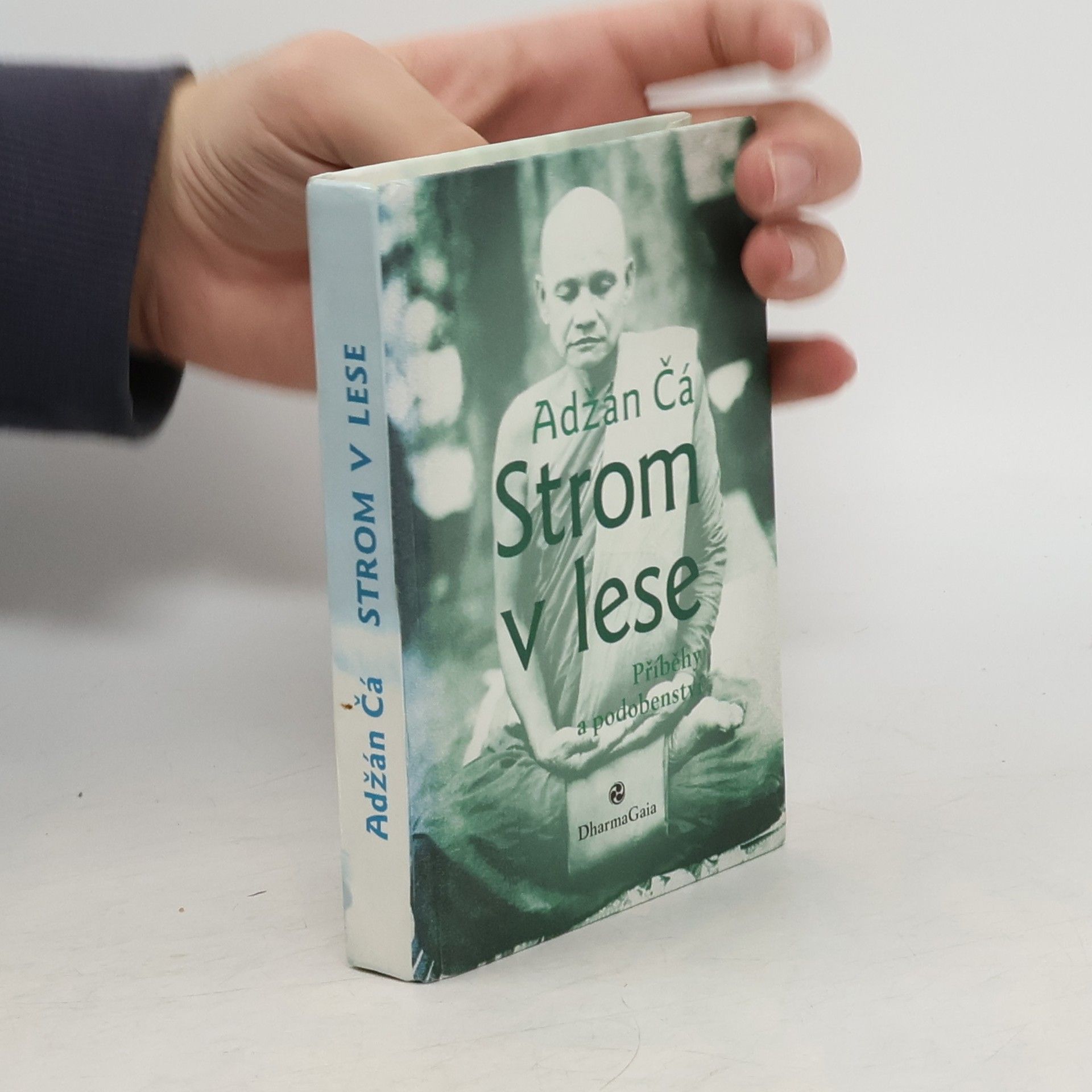 Strom v lese : příběhy a podobenství