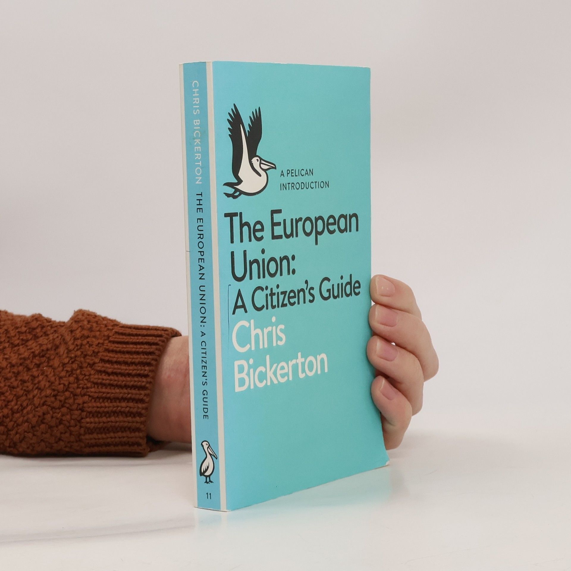 The European Union : a citizen's guide