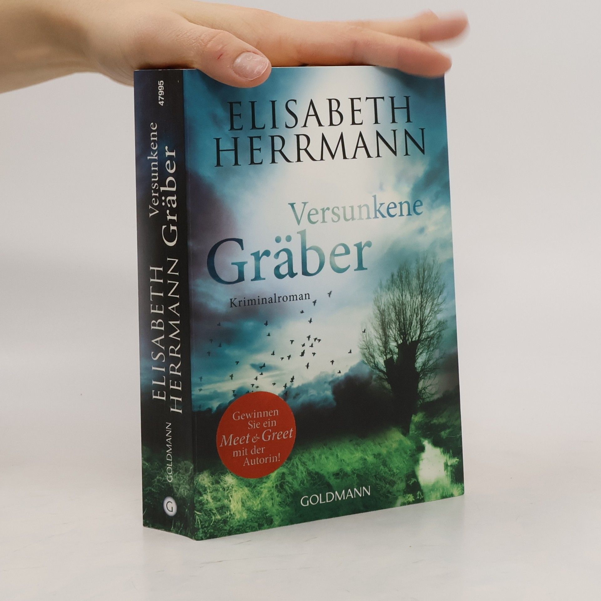 Elisabeth Hermann Versunkene Gräber