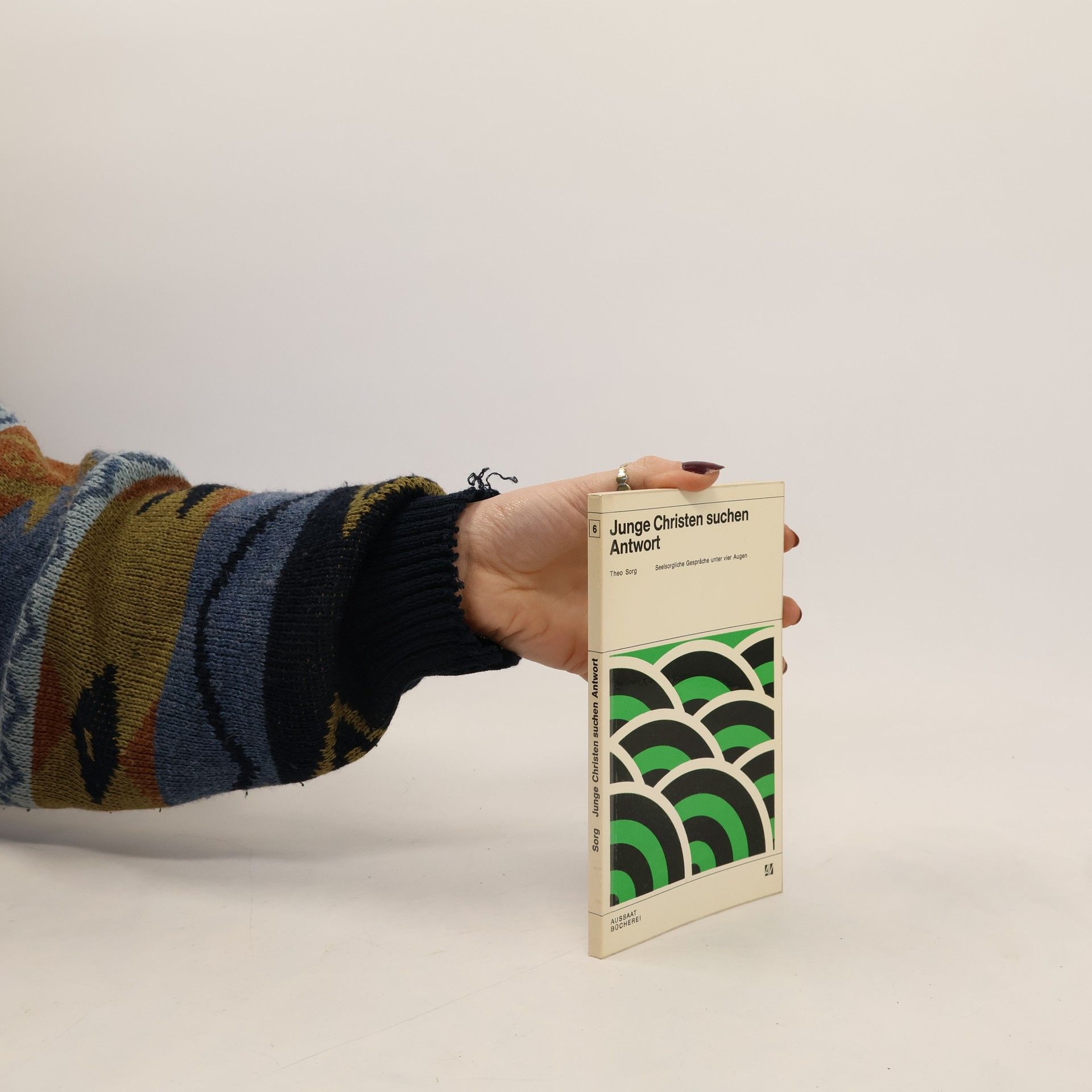 Theo Sorg Junge Christen suchen Antwort