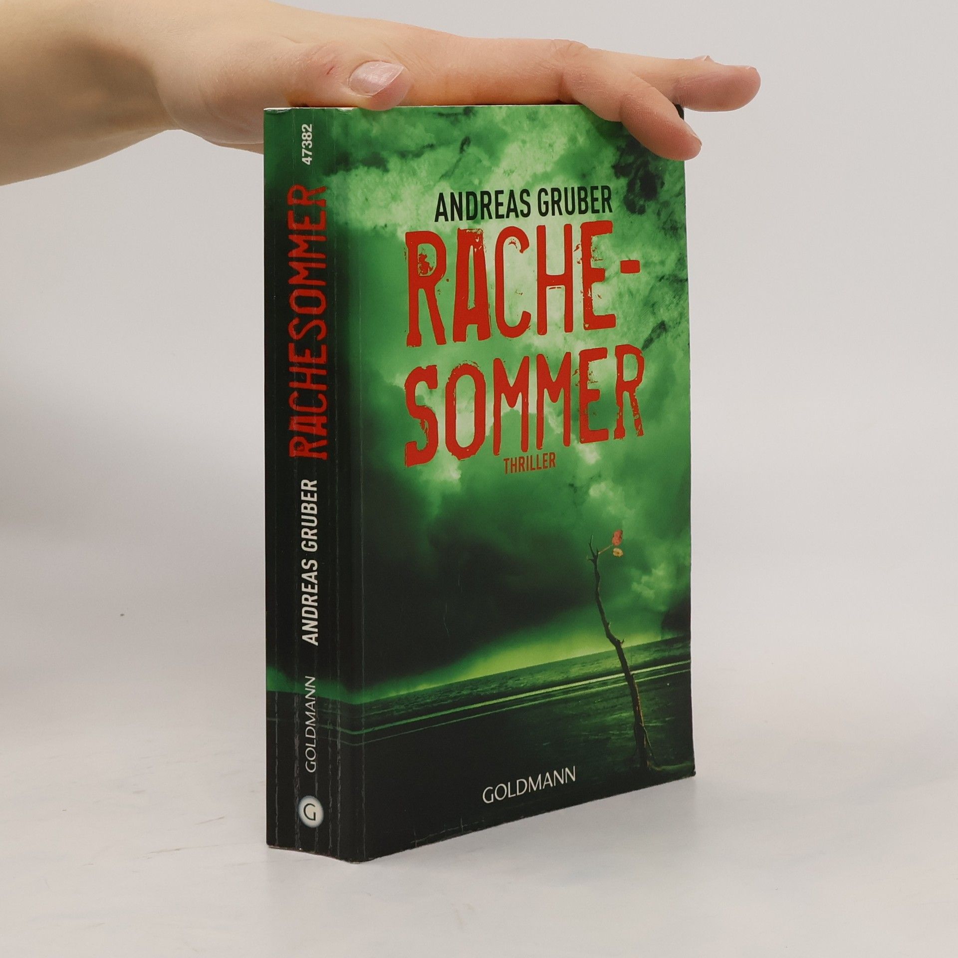 Andreas Gruber Rachesommer