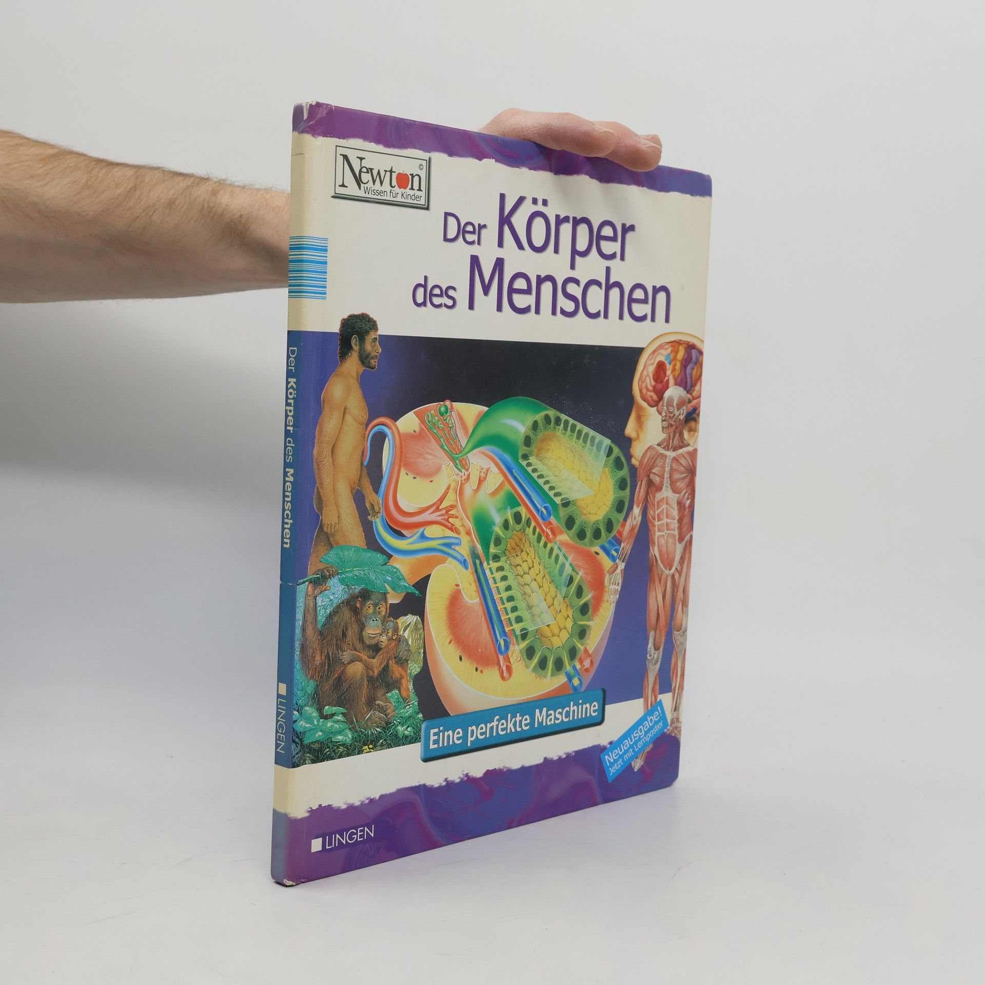 Kolektív autorov Der Körper des Menschen