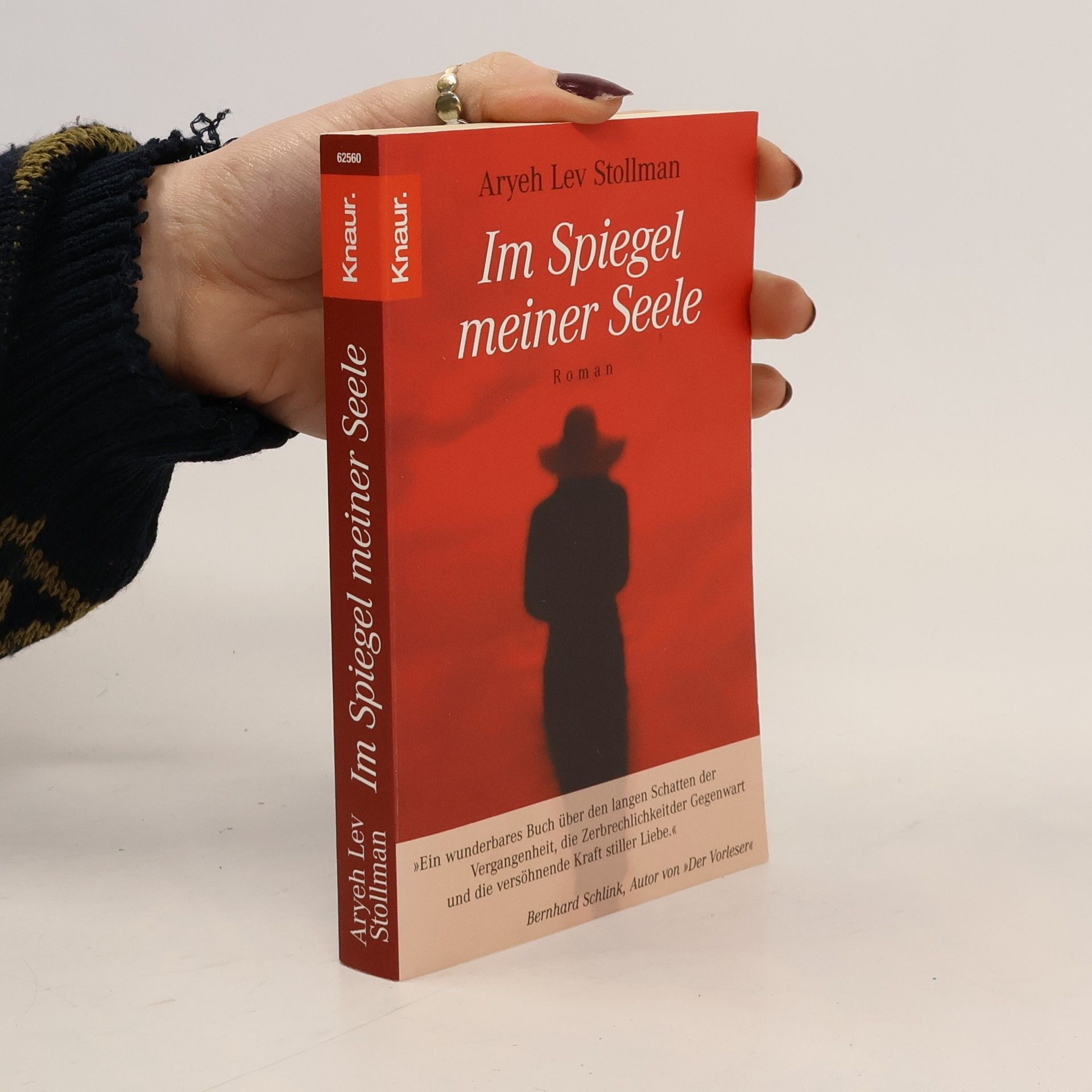 Aryeh Lev Stollmann Im Spiegel meiner Seele