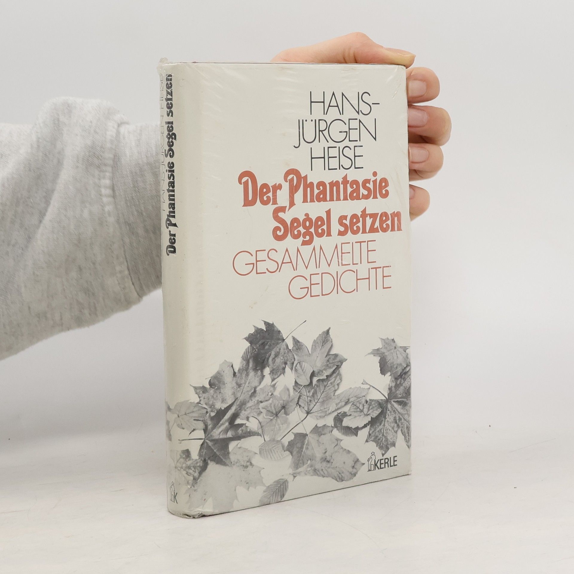 Der Phantasie Segel setzen