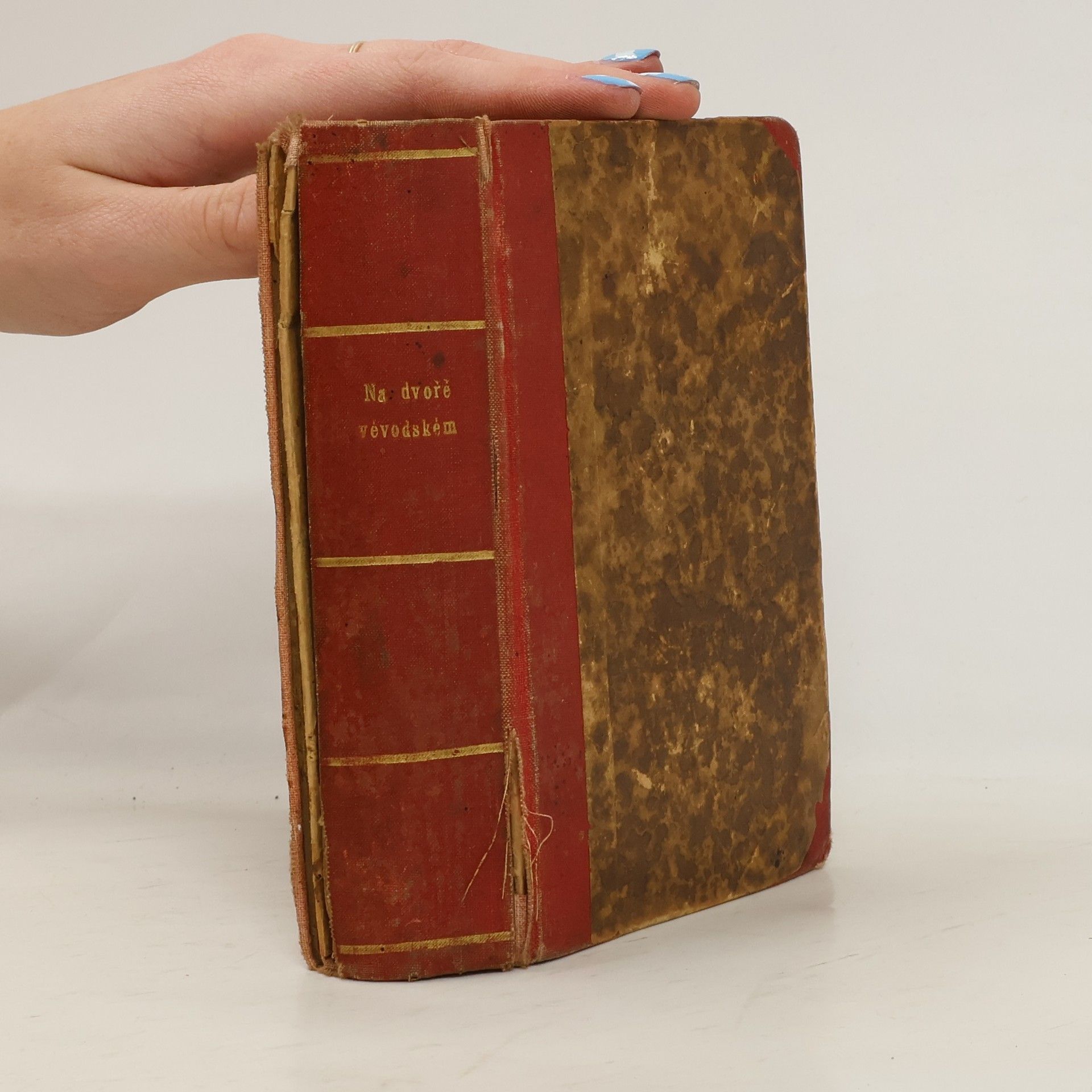 Alois Jirásek Na dvoře vévodském