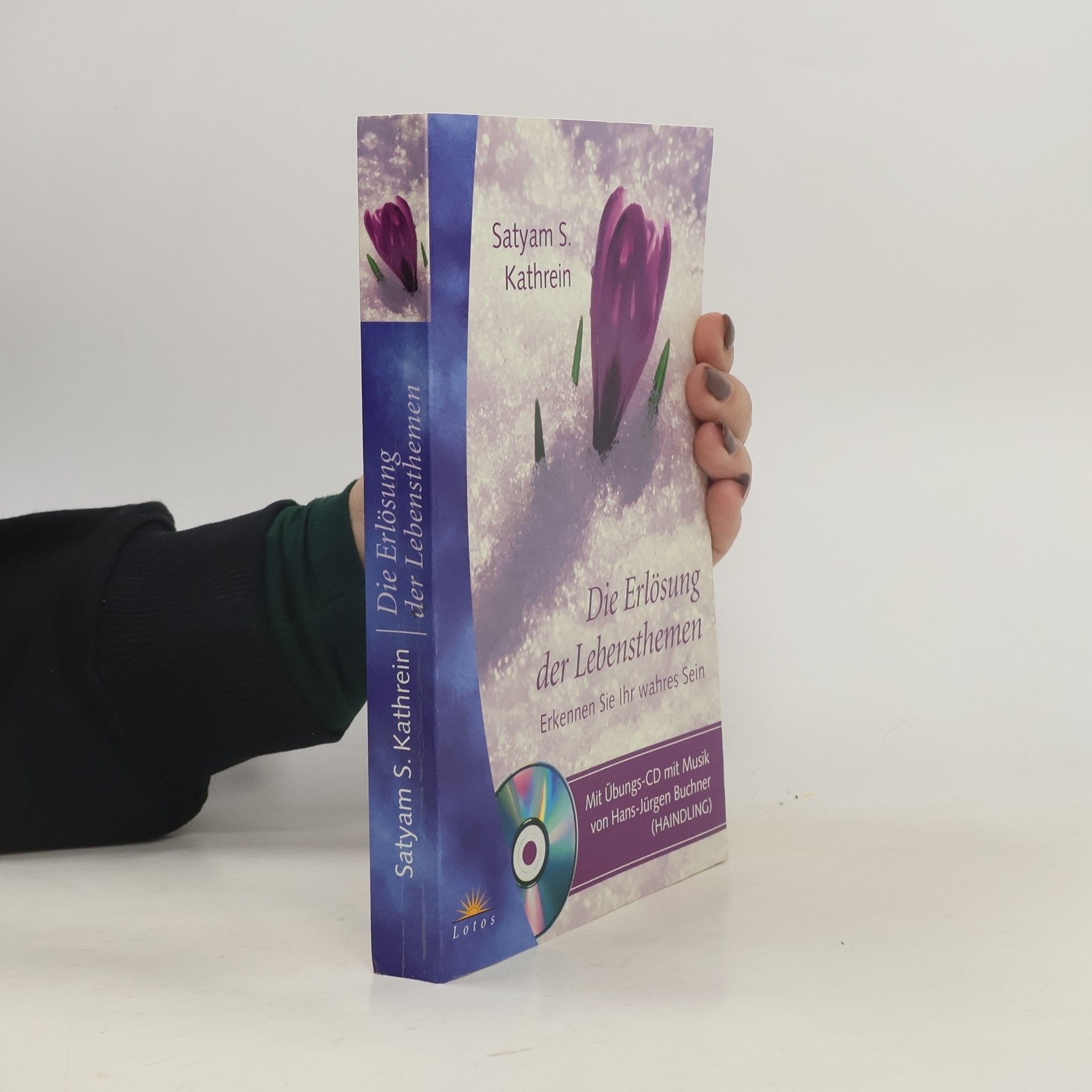 Kolektiv autorů Die Erlösung der Lebensthemen