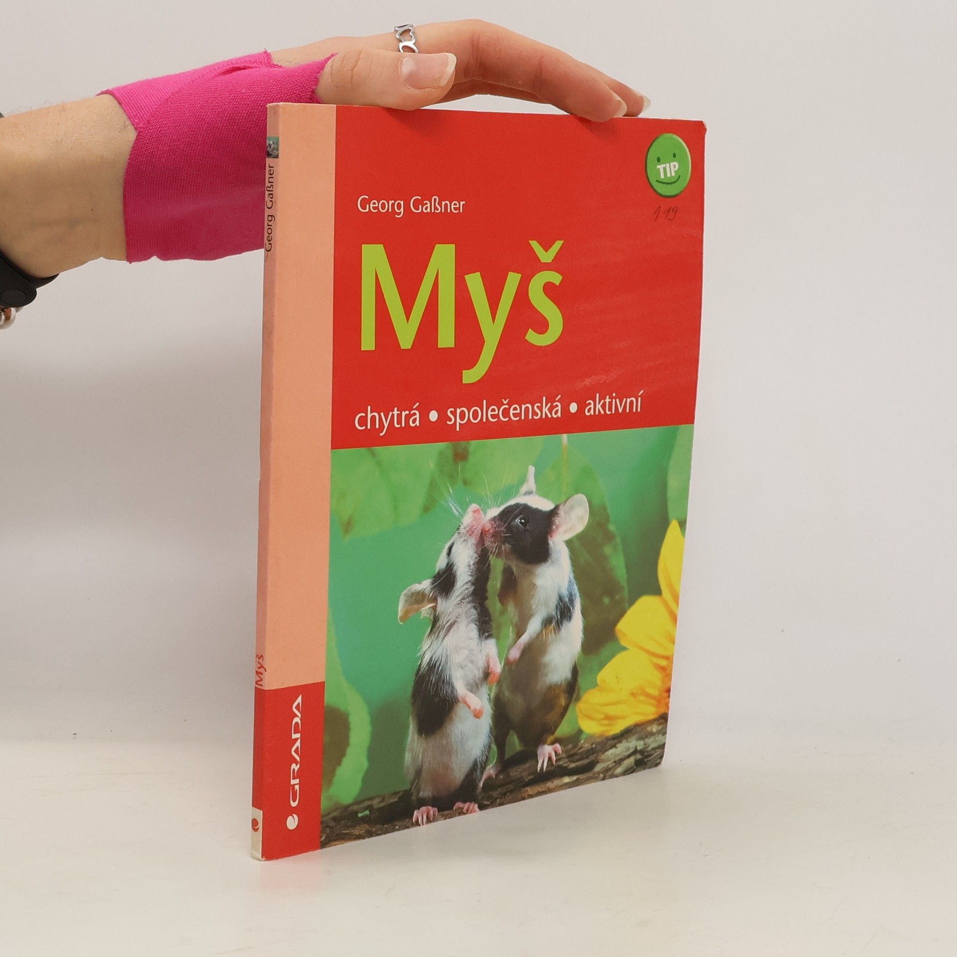 Myš : chytrá, společenská, aktivní