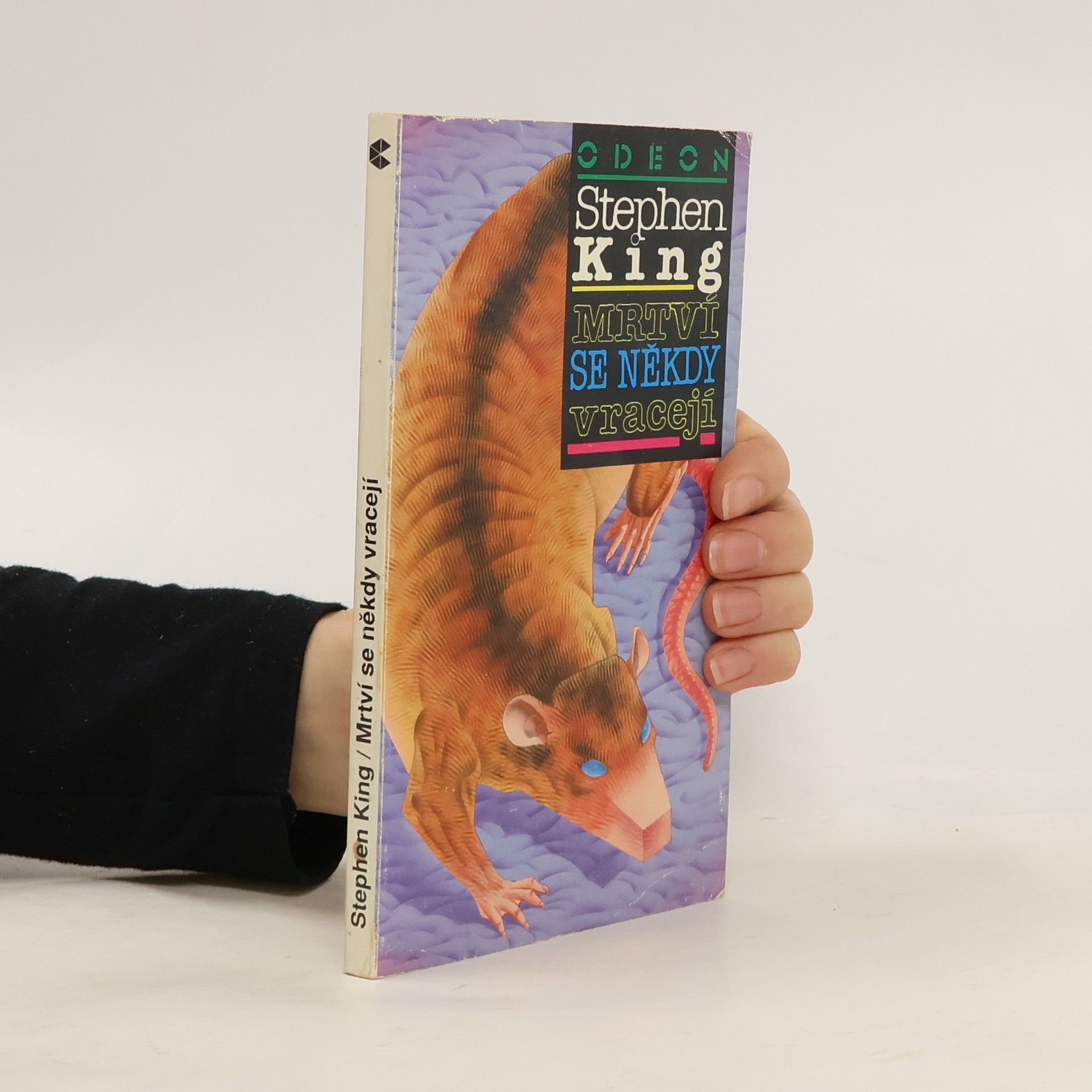 Stephen King Mrtví se někdy vracejí