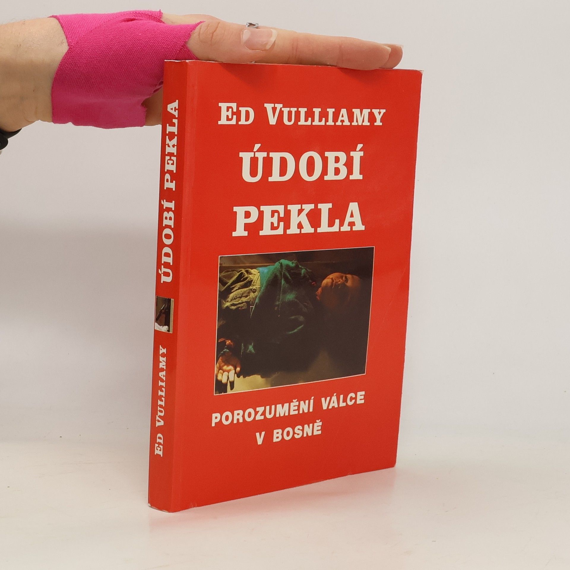 Údobí pekla: Porozumění bosenské válce