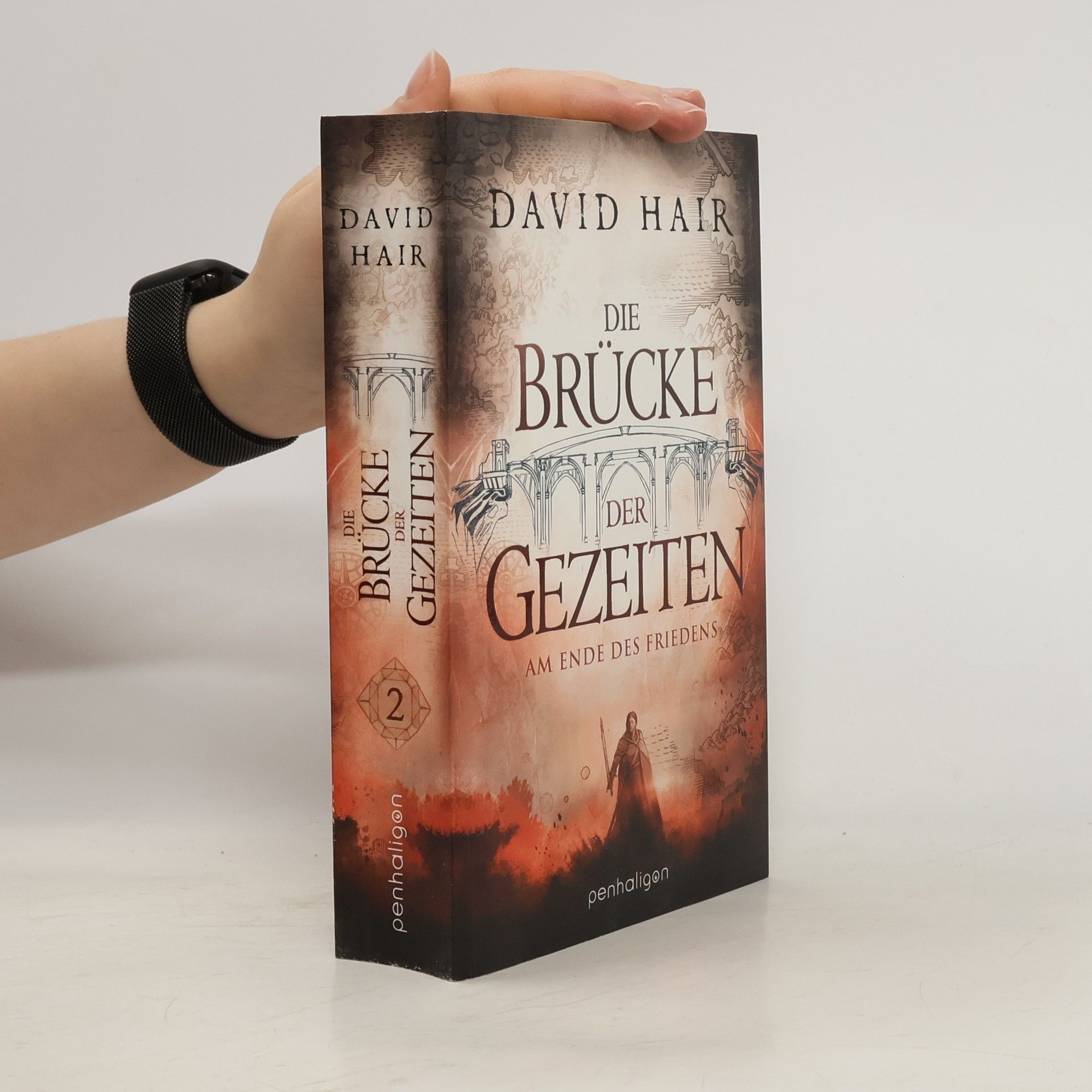 David Hair Die Brücke der Gezeiten 2