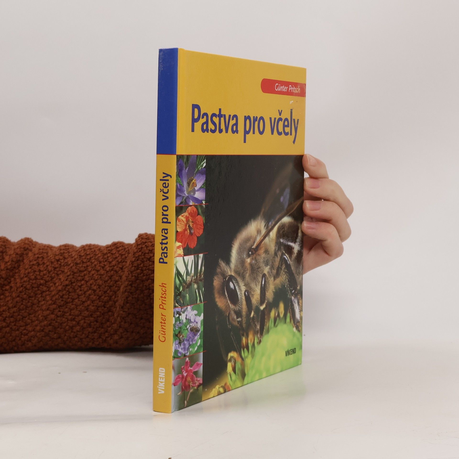 Pastva pro včely