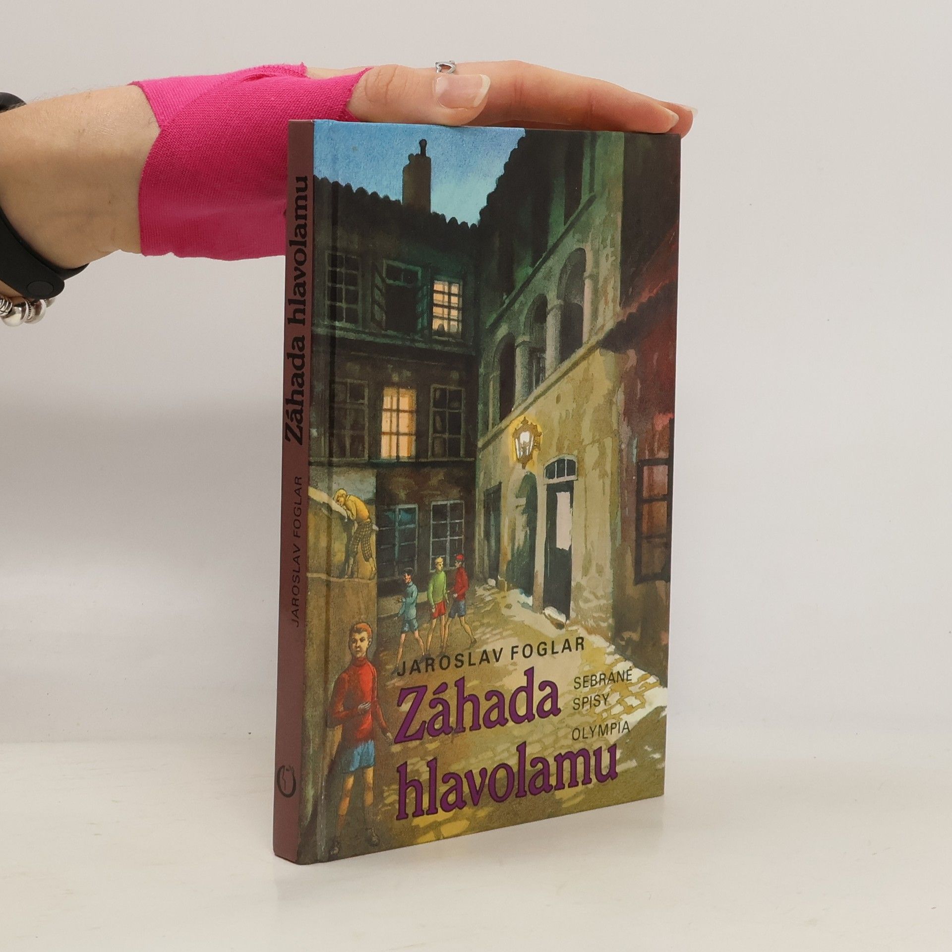 Jan Fischer Záhada hlavolamu