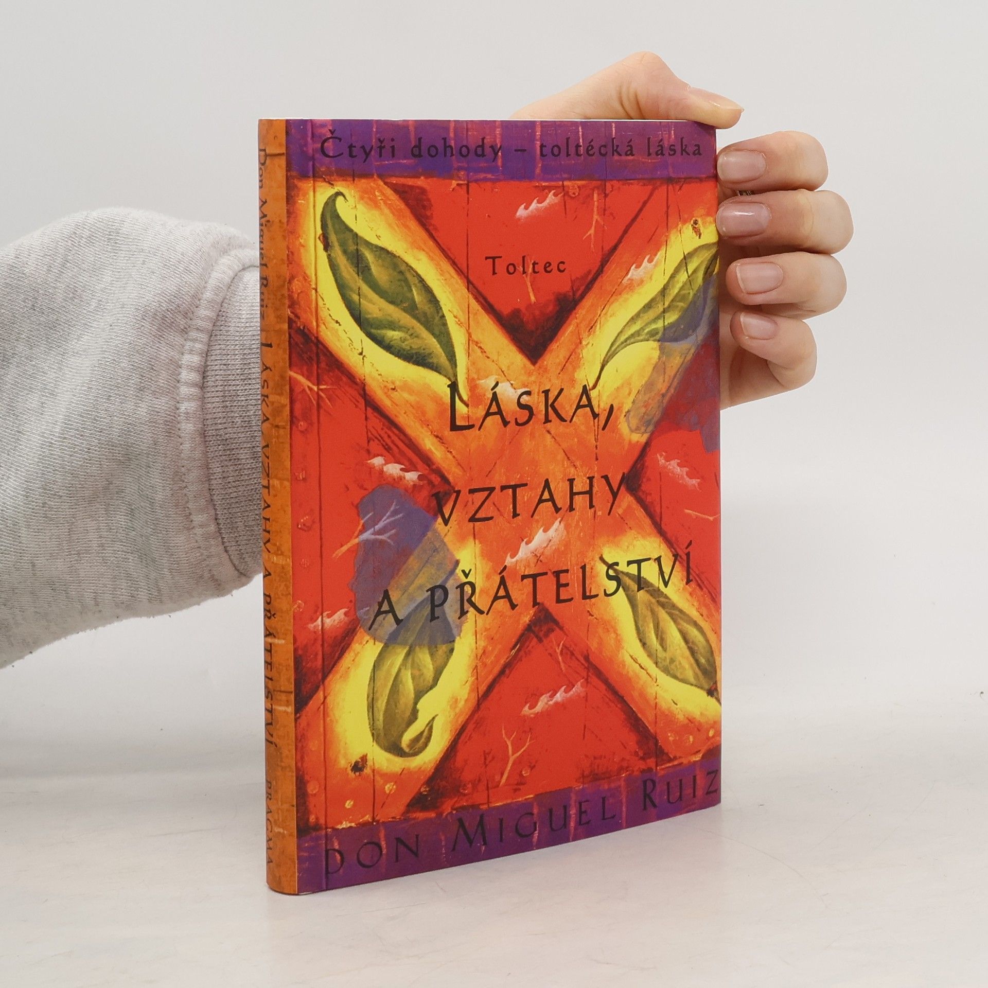 Don Miguel Ruiz Láska, vztahy a přátelství