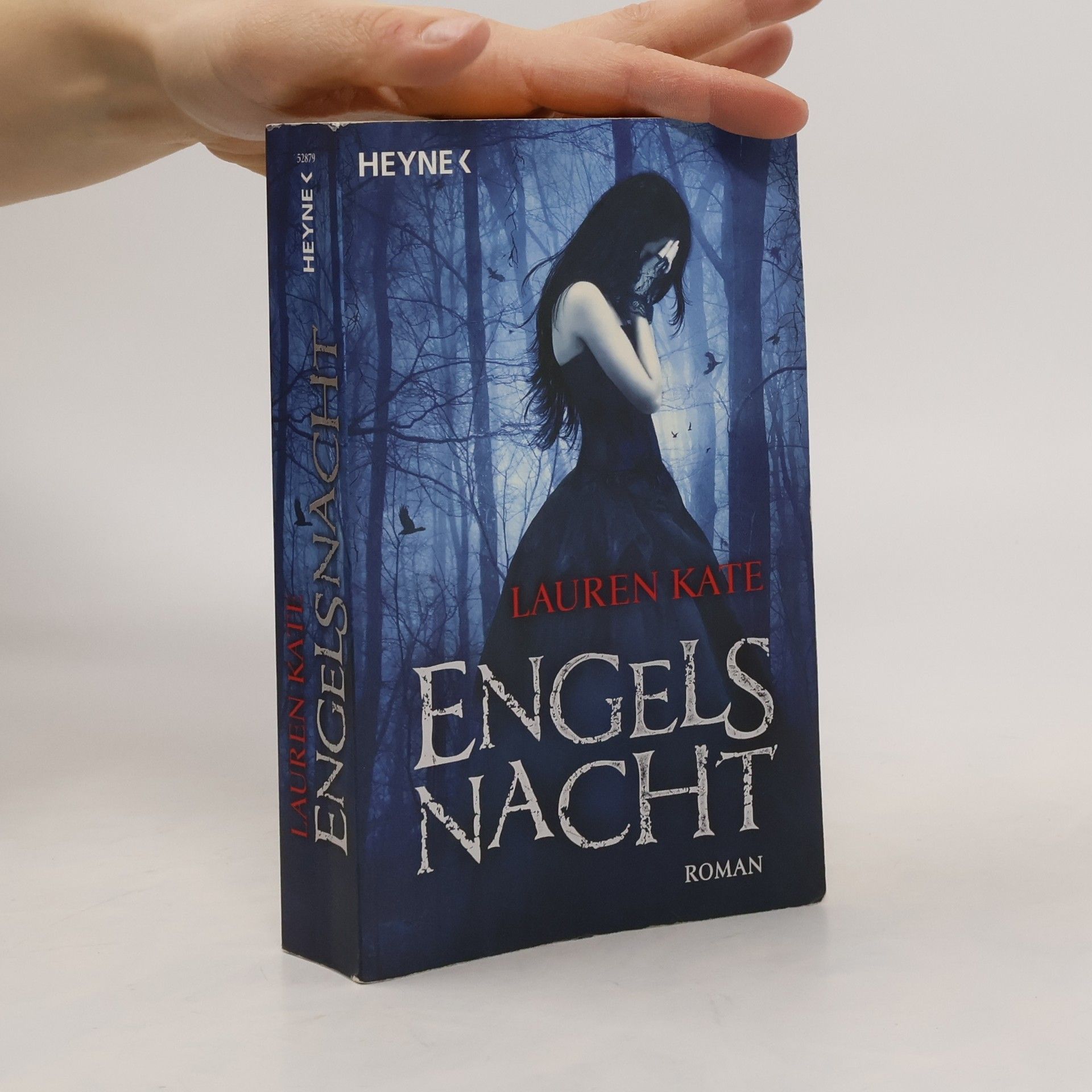 Lauren Kate Engels Nacht