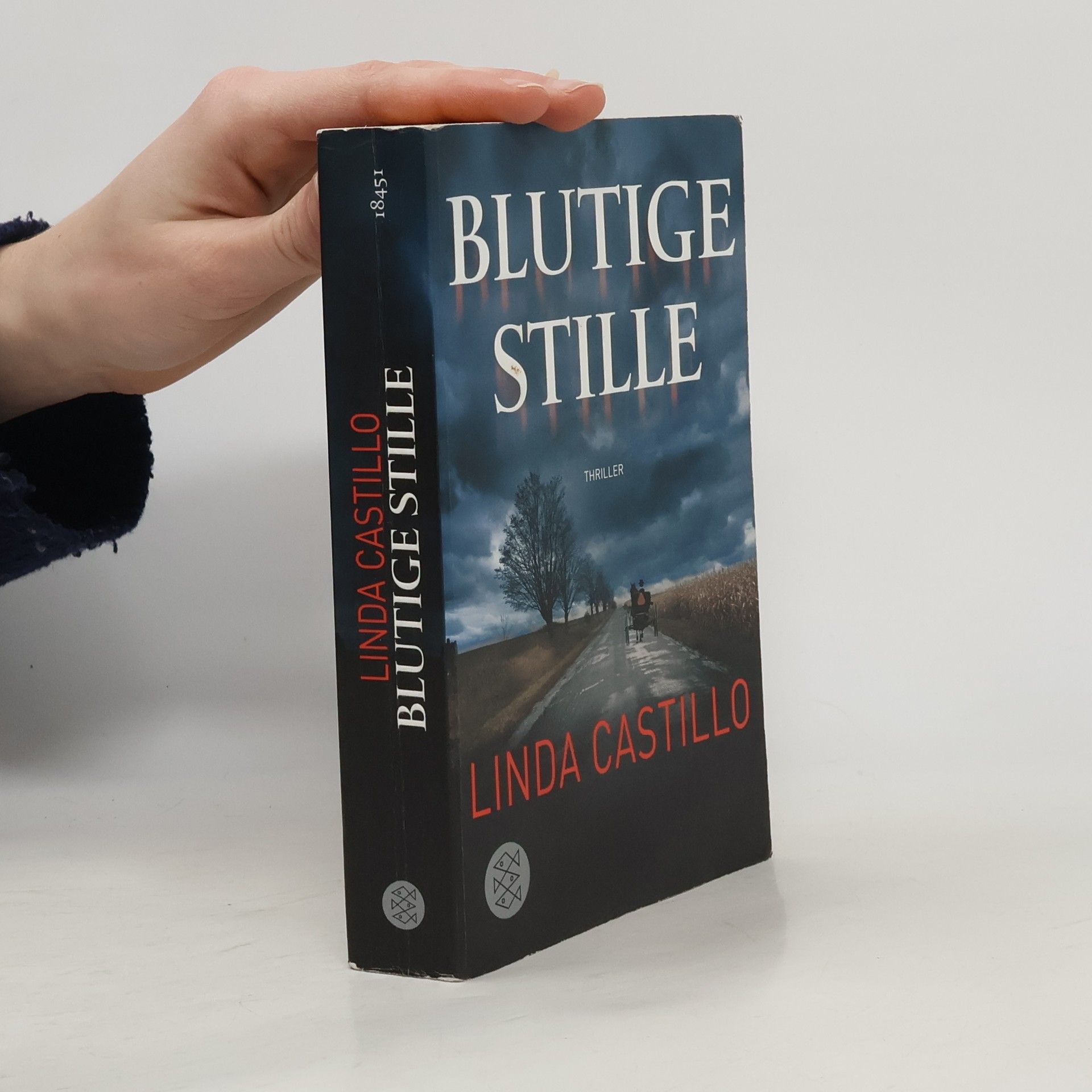 Linda Castillo Blutige Stille