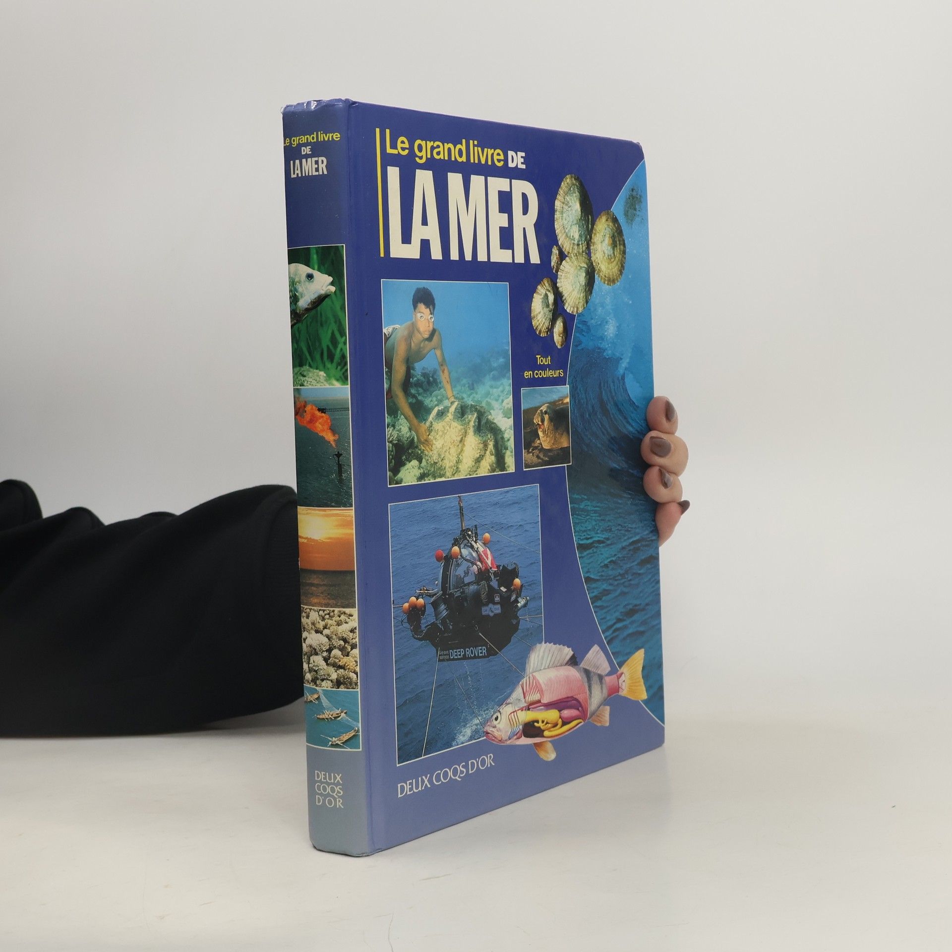 E Di Rosa Le grand livre de la mer - Tout en couleurs