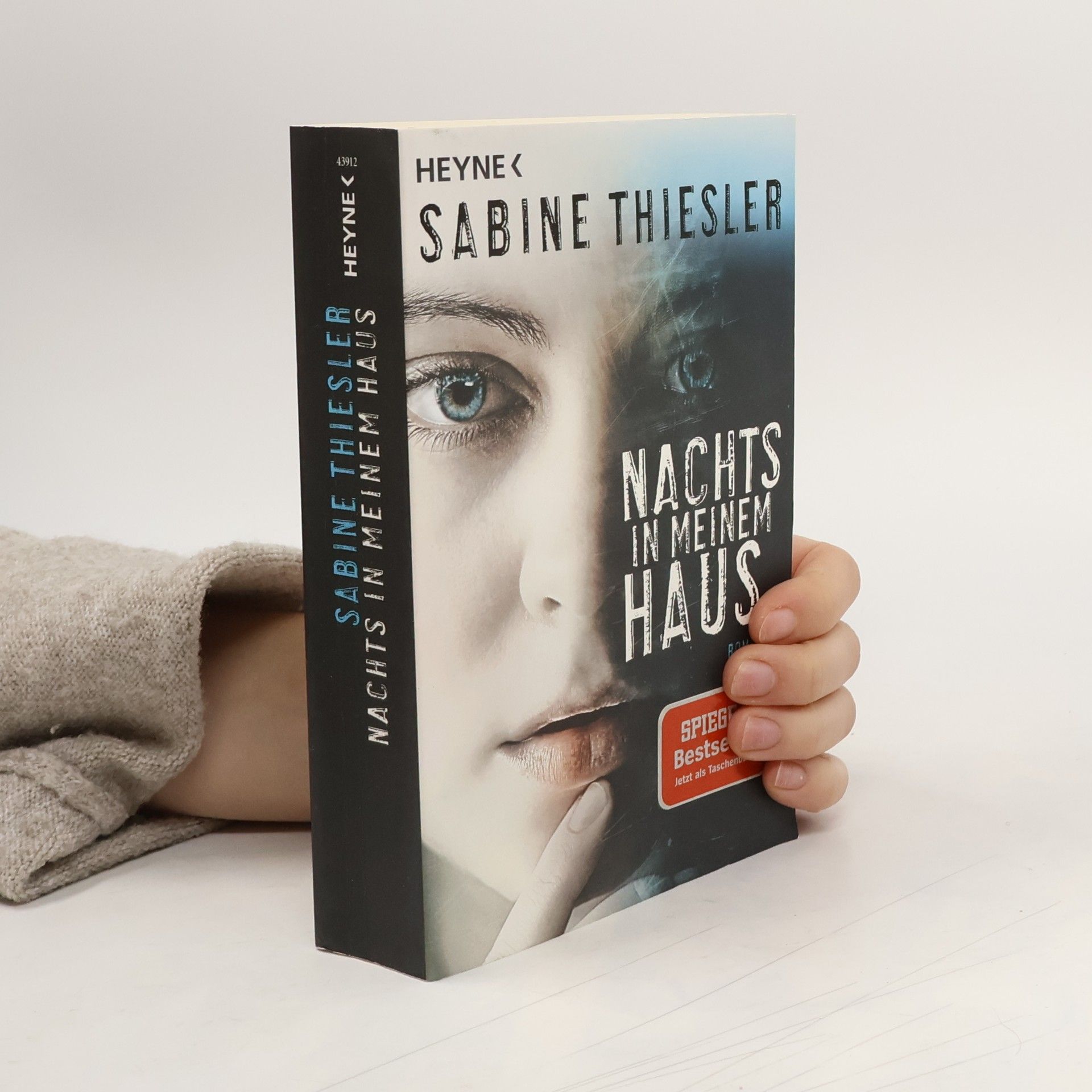 Sabine Thiesler Nachts in meinem Haus