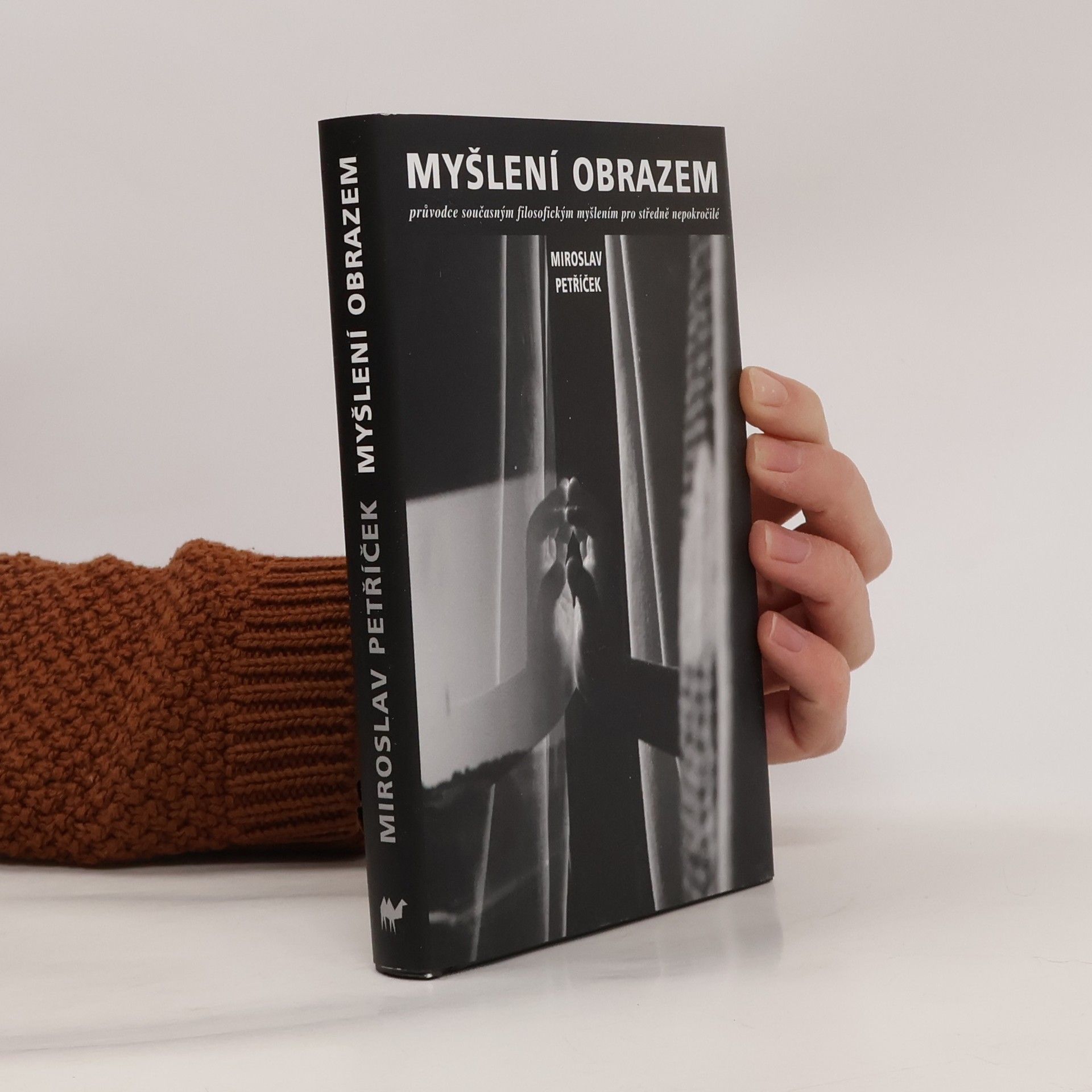 Myšlení obrazem: Průvodce současným filosofickým myšlením pro středně nepokročilé